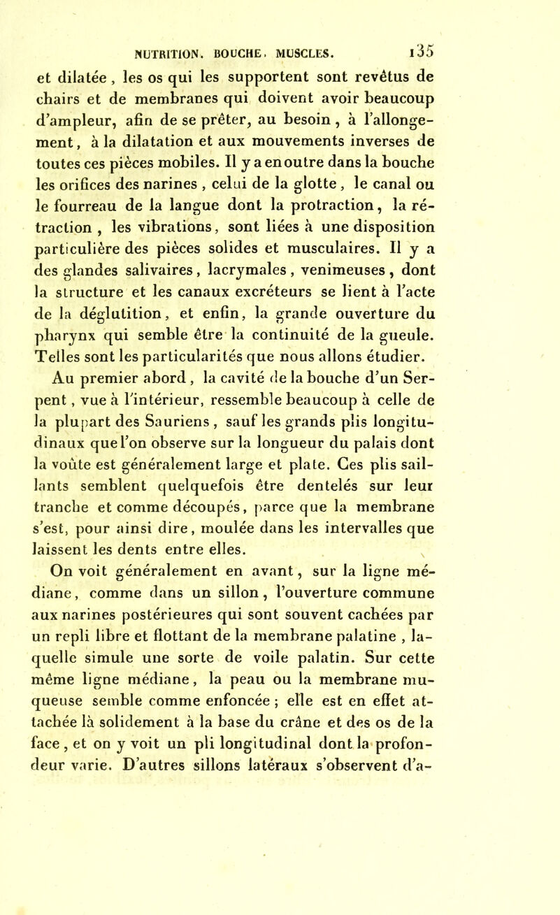 et dilatée , les os qui les supportent sont revêtus de chairs et de membranes qui doivent avoir beaucoup d'ampleur, afin de se prêter, au besoin, à l’allonge- ment , à la dilatation et aux mouvements inverses de toutes ces pièces mobiles. Il y a en outre dans la bouche les orifices des narines , celui de la glotte , le canal ou le fourreau de la langue dont la protraction, la ré- traction , les vibrations, sont liées à une disposition particulière des pièces solides et musculaires. Il y a des glandes salivaires, lacrymales , venimeuses , dont la structure et les canaux excréteurs se lient à l’acte de la déglutition, et enfin, la grande ouverture du pharynx qui semble être la continuité de la gueule. Telles sont les particularités que nous allons étudier. Au premier abord , la cavité de la bouche d’un Ser- pent , vue à l’intérieur, ressemble beaucoup à celle de la plupart des Sauriens , sauf les grands plis longitu- dinaux que l’on observe sur la longueur du palais dont la voûte est généralement large et plate. Ges plis sail- lants semblent quelquefois être dentelés sur leur tranche et comme découpés, parce que la membrane s’est, pour ainsi dire, moulée dans les intervalles que laissent les dents entre elles. On voit généralement en avant, sur la ligne mé- diane , comme dans un sillon, l’ouverture commune aux narines postérieures qui sont souvent cachées par un repli libre et flottant de la membrane palatine , la- quelle simule une sorte de voile palatin. Sur cette même ligne médiane, la peau ou la membrane mu- queuse semble comme enfoncée ; elle est en effet at- tachée là solidement à la base du crâne et des os de la face , et on y voit un pli longitudinal dont la profon- deur varie. D’autres sillons latéraux s’observent d’a-