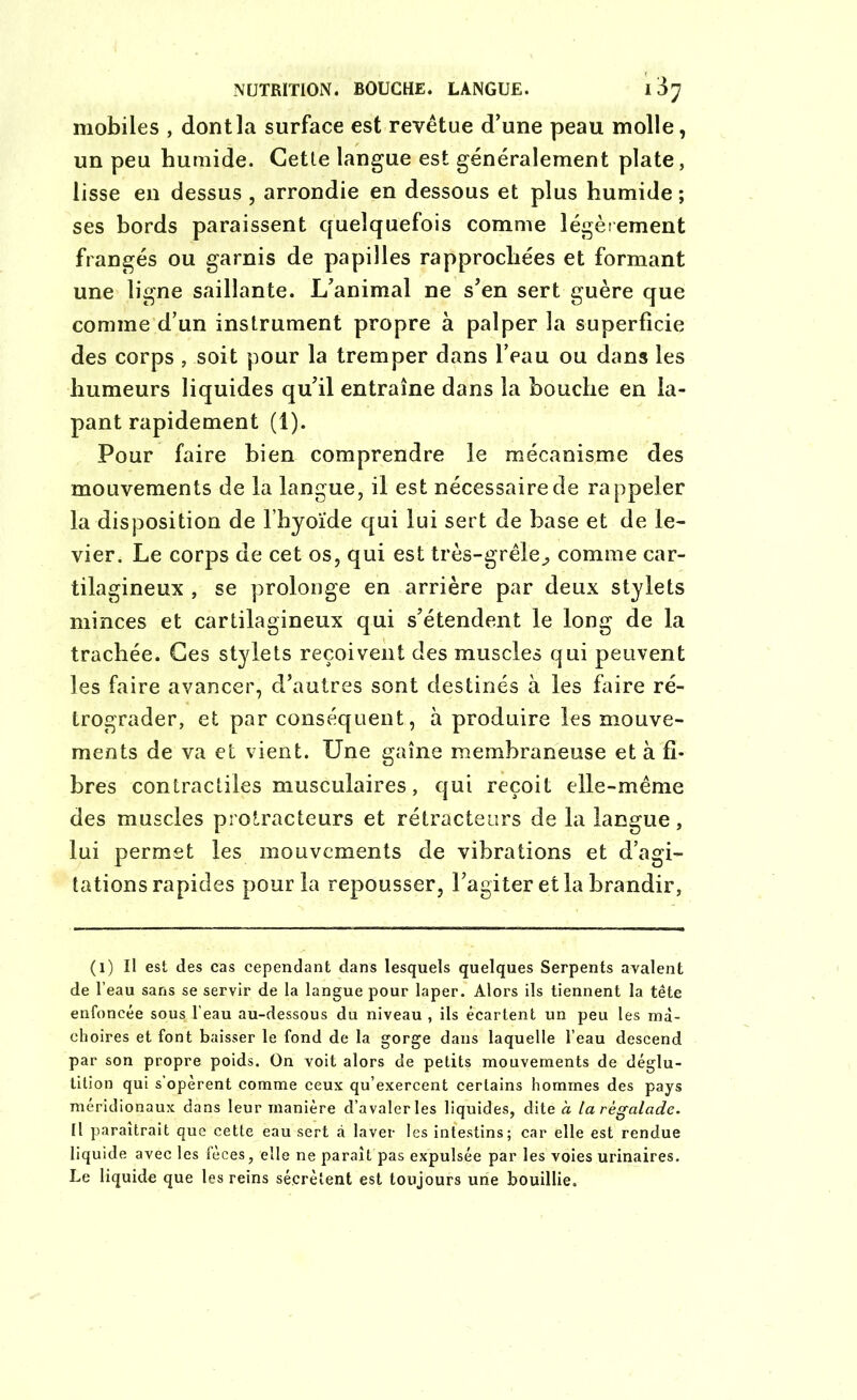 mobiles , dont la surface est revêtue d’une peau molle, un peu humide. Cette langue est généralement plate, lisse en dessus , arrondie en dessous et plus humide; ses bords paraissent quelquefois comme légèrement frangés ou garnis de papilles rapprochées et formant une ligne saillante. L’animal ne s’en sert guère que comme d’un instrument propre à palper la superficie des corps , soit pour la tremper dans l’eau ou dans les humeurs liquides qu’il entraîne dans la bouche en la- pant rapidement (1). Pour faire bien comprendre le mécanisme des mouvements de la langue, il est nécessaire de rappeler la disposition de l’hyoïde qui lui sert de base et de le- vier. Le corps de cet os, qui est très-grêle^ comme car- tilagineux , se prolonge en arrière par deux stylets minces et cartilagineux qui s’étendent le long de la trachée. Ces stylets reçoivent des muscles qui peuvent les faire avancer, d’autres sont destinés à les faire ré- trograder, et par conséquent, à produire les mouve- ments de va et vient. Une gaîne membraneuse et à fi- bres contractiles musculaires, qui reçoit elle-même des muscles protracteurs et rétracteors de la langue, lui permet les mouvements de vibrations et d’agi- tations rapides pour la repousser, l’agiter et la brandir, (i) Il est des cas cependant dans lesquels quelques Serpents avalent de l’eau sans se servir de la langue pour laper. Alors ils tiennent la tête enfoncée sous£ l’eau au-dessous du niveau, ils écartent un peu les mâ- choires et font baisser le fond de la gorge dans laquelle l’eau descend par son propre poids. On voit alors de petits mouvements de déglu- tition qui s’opèrent comme ceux qu’exercent certains hommes des pays méridionaux dans leur manière d’avaler les liquides, dite à la régalade. Il paraîtrait que cette eau sert à laver les intestins; car elle est rendue liquide avec les fèces, elle ne paraît pas expulsée par les voies urinaires. Le liquide que les reins sécrètent est toujours une bouillie.