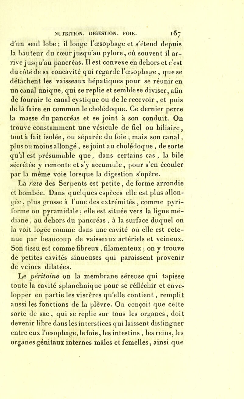 d’un seul lobe ; il longe l'oesophage et s'étend depuis la hauteur du cœur jusqu’au pylore, où souvent il ar- rive jusqu'au pancréas. Il est convexe en dehors et c’est du côté de sa concavité qui regarde l’œsophage , que se détachent les vaisseaux hépatiques pour se réunir en un canal unique, qui se replie et semble se diviser, afin de fournir le canal cystique ou de le recevoir , et puis de là faire en commun le cholédoque. Ce dernier perce la masse du pancréas et se joint à son conduit. On trouve constamment une vésicule de fiel ou biliaire, tout à fait isolée, ou séparée du foie ; mais son canal, plus ou moins allongé , se joint au cholédoque , de sorte qu’il est présumable que, dans certains cas , la bile sécrétée y remonte et s’y accumule, pour s’en écouler par la même voie lorsque la digestion s’opère. La rate des Serpents est petite, de forme arrondie et bombée. Dans quelques espèces elle est plus allon- gée , plus grosse à l’une des extrémités , comme pyri- forme ou pyramidale ; elle est située vers la ligne mé- diane , au dehors du pancréas , à la surface duquel on la voit logée comme dans une cavité où elle est rete- nue par beaucoup de vaisseaux artériels et veineux. Son tissu est comme fibreux , filamenteux ; on y trouve de petites cavités sinueuses qui paraissent provenir de veines dilatées. Le péritoine ou la membrane séreuse qui tapisse toute la cavité splanchnique pour se réfléchir et enve- lopper en partie les viscères qu’elle contient, remplit aussi les fonctions de la plèvre. On conçoit que cette sorte de sac , qui se replie sur tous les organes, doit devenir libre dans les interstices qui laissent distinguer entre eux l’œsophage, le foie, les intestins , les reins, les organes génitaux internes mâles et femelles, ainsi que