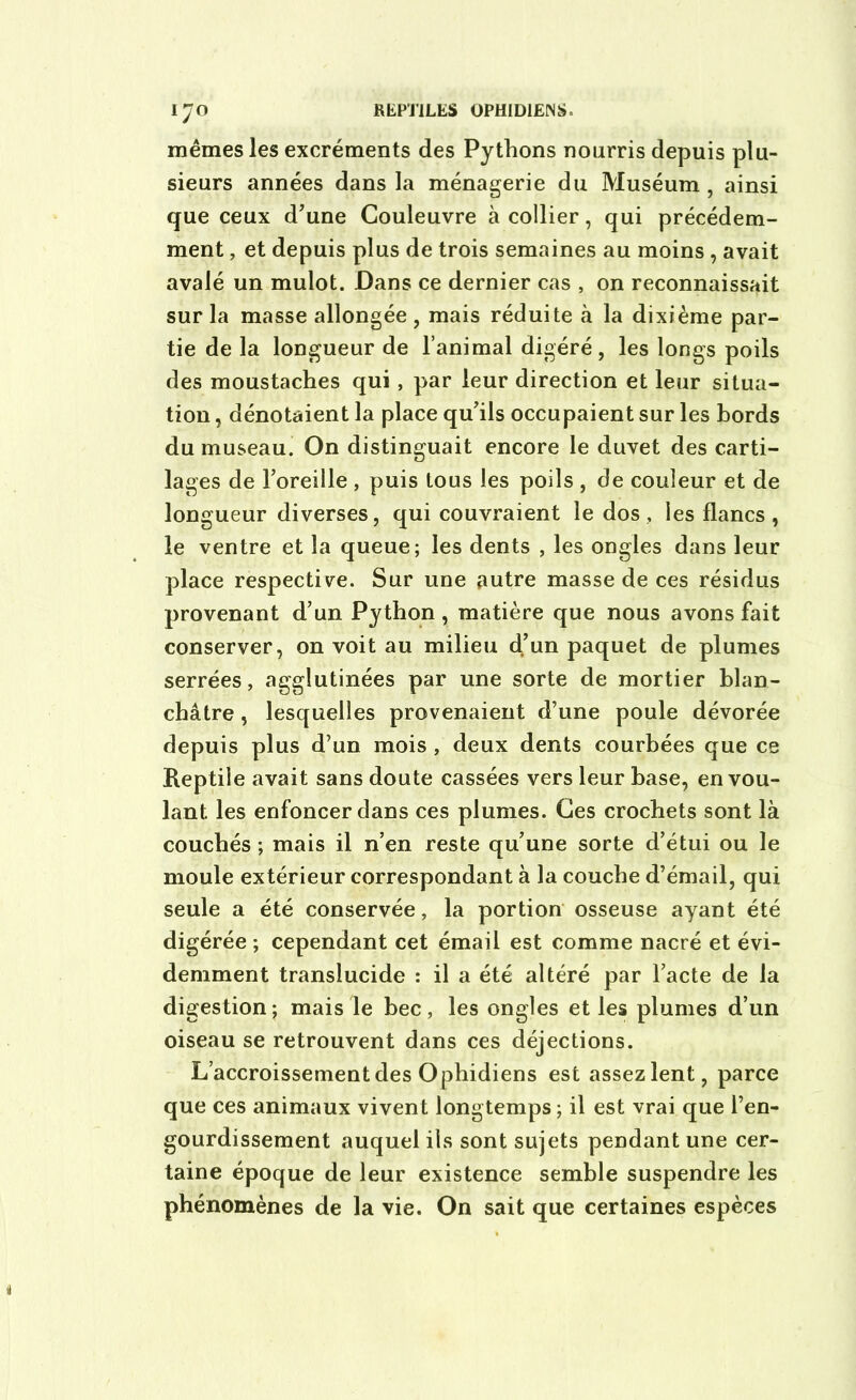 mêmes les excréments des Pythons nourris depuis plu- sieurs années dans la ménagerie du Muséum , ainsi que ceux d’une Couleuvre à collier, qui précédem- ment , et depuis plus de trois semaines au moins , avait avalé un mulot. Dans ce dernier cas , on reconnaissait sur la masse allongée , mais réduite à la dixième par- tie de la longueur de l’animal digéré, les longs poils des moustaches qui, par leur direction et leur situa- tion , dénotaient la place qu’ils occupaient sur les bords du museau. On distinguait encore le duvet des carti- lages de l’oreille , puis tous les poils , de couleur et de longueur diverses, qui couvraient le dos, les flancs, le ventre et la queue; les dents , les ongles dans leur place respective. Sur une autre masse de ces résidus provenant d’un Python , matière que nous avons fait conserver, on voit au milieu d’un paquet de plumes serrées, agglutinées par une sorte de mortier blan- châtre , lesquelles provenaient d’une poule dévorée depuis plus d’un mois , deux dents courbées que ce Reptile avait sans doute cassées vers leur base, en vou- lant. les enfoncer dans ces plumes. Ces crochets sont là couchés ; mais il n’en reste qu’une sorte d’étui ou le moule extérieur correspondant à la couche d’émail, qui seule a été conservée, la portion osseuse ayant été digérée ; cependant cet émail est comme nacré et évi- demment translucide : il a été altéré par l’acte de la digestion; mais le bec, les ongles et les plumes d’un oiseau se retrouvent dans ces déjections. L’accroissement des Ophidiens est assez lent, parce que ces animaux vivent longtemps ; il est vrai que l’en- gourdissement auquel ils sont sujets pendant une cer- taine époque de leur existence semble suspendre les phénomènes de la vie. On sait que certaines espèces