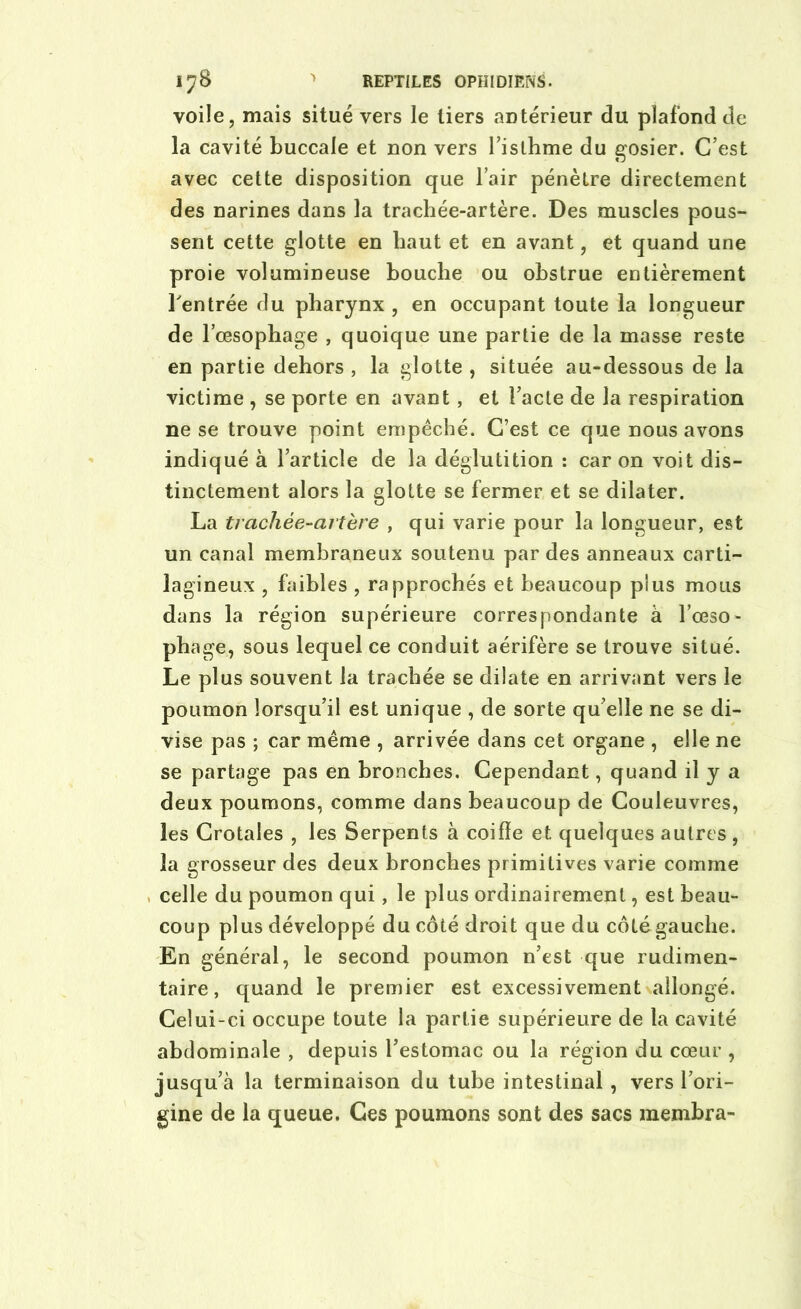 voile, mais situé vers le tiers aDtérieur du plafond de la cavité buccale et non vers l'isthme du gosier. C’est avec cette disposition que l’air pénètre directement des narines dans la trachée-artère. Des muscles pous- sent cette glotte en haut et en avant, et quand une proie volumineuse bouche ou obstrue entièrement l'entrée du pharynx , en occupant toute la longueur de l’œsophage , quoique une partie de la masse reste en partie dehors , la glotte , située au-dessous de la victime , se porte en avant, et l’acte de la respiration ne se trouve point empêché. C’est ce que nous avons indiqué à l’article de la déglutition : car on voit dis- tinctement alors la glotte se fermer et se dilater. La trachée-artère , qui varie pour la longueur, est un canal membraneux soutenu par des anneaux carti- lagineux , faibles , rapprochés et beaucoup plus mous dans la région supérieure correspondante à l’œso- phage, sous lequel ce conduit aérifère se trouve situé. Le plus souvent la trachée se dilate en arrivant vers le poumon lorsqu’il est unique , de sorte qu’elle ne se di- vise pas ; car même , arrivée dans cet organe , elle ne se partage pas en bronches. Cependant, quand il y a deux poumons, comme dans beaucoup de Couleuvres, les Crotales , les Serpents à coifïe et quelques autres, la grosseur des deux bronches primitives varie comme celle du poumon qui, le plus ordinairement, est beau- coup plus développé du côté droit que du côtégauche. En général, le second poumon n’est que rudimen- taire, quand le premier est excessivement allongé. Celui-ci occupe toute la partie supérieure de la cavité abdominale , depuis l’estomac ou la région du cœur , jusqu’à la terminaison du tube intestinal, vers l’ori- gine de la queue. Ces poumons sont des sacs membra-
