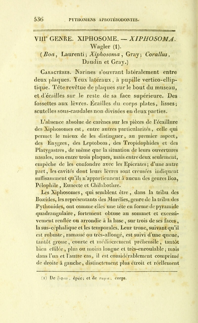 VIIIe GENRE. XIPHOSOME. — XIPHOSOMA. Wagler (1). ( Boa y Laurenti ; Xiphosoma , Gray ; Corallus, Daudin et Gray.) Caractères. Narines s’ouvrant latéralement entre deux plaques. Yeux latéraux, à pupille vertico-ellip- tique. Tête revêtue de plaques sur le bout du museau, et d écailles sur le reste de sa face supérieure. Des fossettes aux lèvPes. Ecailles du corps plates, lisses; scutelles sous-caudales non divisées en deux parties. L’absence absolue de carènes sur les pièces de l’écaillure des Xipbosomes est, entre autres particularités , celle qui permet le mieux de les distinguer, au premier aspect, des Enygres, des Leptoboas, des Tropidophides et des Platygastres, de même que la situation de leurs ouvertures nasales, non entre trois plaques, mais entre deux seulement, empêche de les confondre avec les Epicrates ; d’une autre part, les cavités dont leurs lèvres sont creusées indiquent suffisamment qu’ils n’appartiennent à aucun des genres Boa, Pélopbile, Eunecte et Chilabothre. Les Xiphosomes, qui semblent être , dans la tribu des Boæides, les représentants des Moréiies, genre de la tribu des Pytbonides, ont comme elles une tête en forme de pyramide quadrangulaire, fortement obtuse au sommet et excessi- vement renflée ou arrondie à la base, sur trois de ses faces, la sus-céphalique et les temporales. Leur tronc, suivant qu’il est robuste, ramassé ou très-allongé, est suivi d’une queue, tantôt grosse, courte et médiocrement préhensile, tantôt bien effilée , plus ou moins longue et très-enroulable ; mais dans l’un et l’autre cas, il est considérablement comprimé de droite à gauche, distinctement plus étroit et réellement (i) De £«piov , épée; et de o-ooy.a, corps.