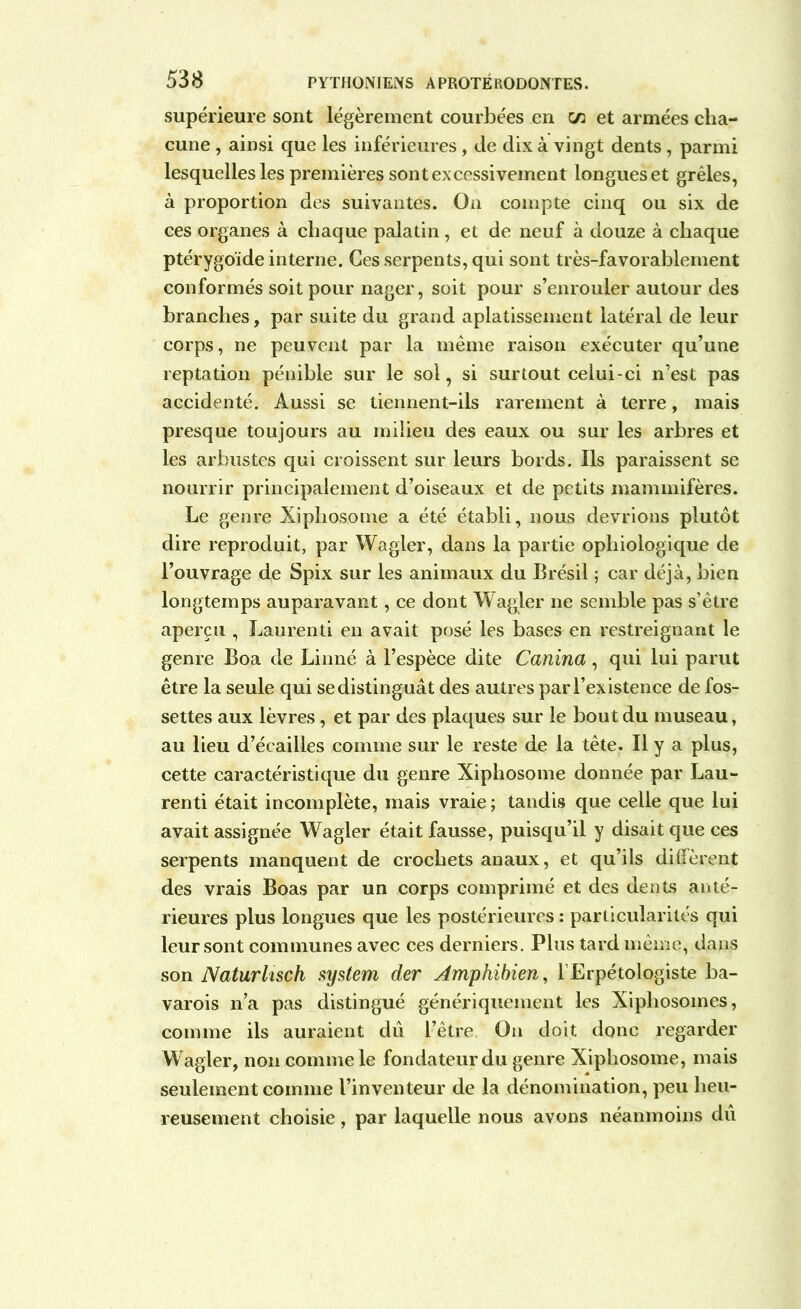supérieure sont légèrement courbées en cn et armées cha- cune , ainsi que les inférieures, de dix à vingt dents, parmi lesquelles les premières sont excessivement longues et grêles, à proportion des suivantes. On compte cinq ou six de ces organes à chaque palatin, et de neuf à douze à chaque ptérygoïde interne. Ces serpents, qui sont très-favorablement conformés soit pour nager, soit pour s’enrouler autour des branches, par suite du grand aplatissement latéral de leur corps, ne peuvent par la même raison exécuter qu’une reptation pénible sur le sol, si surtout celui-ci n’est pas accidenté. Aussi se tiennent-ils rarement à terre, mais presque toujours au milieu des eaux ou sur les arbres et les arbustes qui croissent sur leurs bords. Ils paraissent se nourrir principalement d’oiseaux et de petits mammifères. Le genre Xipliosome a été établi, nous devrions plutôt dire reproduit, par Wagler, dans la partie opliiologique de l’ouvrage de Spix sur les animaux du Brésil ; car déjà, bien longtemps auparavant, ce dont Wagler ne semble pas s’être aperçu , Laurenti en avait posé les bases en restreignant le genre Boa de Linné à l’espèce dite Canina, qui lui parut être la seule qui se distinguât des autres par l’existence de fos- settes aux lèvres, et par des plaques sur le bout du museau, au lieu d’écailles comme sur le reste de la tête. Il y a plus, cette caractéristique du genre Xiphosome donnée par Lau- renti était incomplète, mais vraie ; tandis que celle que lui avait assignée Wagler était fausse, puisqu’il y disait que ces serpents manquent de crochets anaux, et qu’ils diffèrent des vrais Boas par un corps comprimé et des dents anté- rieures plus longues que les postérieures : particularités qui leur sont communes avec ces derniers. Plus tard même, dans son Naturlisch System der Amphibien, l’Erpétologiste ba- varois n’a pas distingué génériquement les Xipliosoines, comme ils auraient dû l’être. On doit donc regarder Wagler, non comme le fondateur du genre Xiphosome, mais seulement comme l’inventeur de la dénomination, peu heu- reusement choisie, par laquelle nous avons néanmoins dû