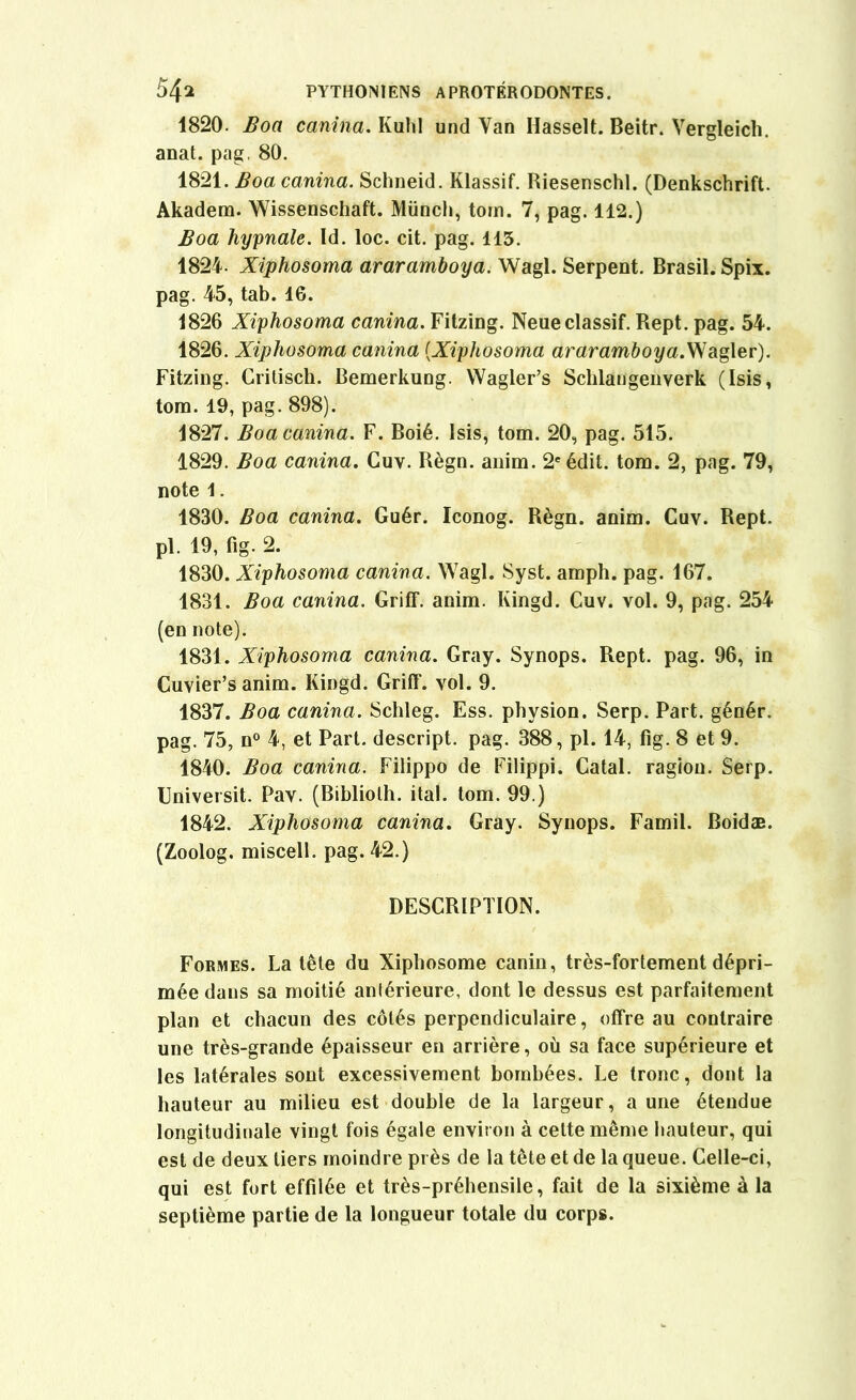 1820. Boa canina. Kuhl und Yan Hasselt. Beitr. Vergleich. anat. pag, 80. 1821. Boa canina. Schneid. Klassif. Riesenschl. (Denkschrift. Akadem. Wissenschaft. Münch, tom. 7, pag. 112.) Boa hypnale. Id. loc. cit. pag. 113. 1824- Xiphosoma araramboya. Wagl. Serpent. Brasil. Spix. pag. 45, tab. 16. 1826 Xiphosoma canina. Fitzing. Neueclassif. Rept. pag. 54. 1826. Xiphosoma canina (Xiphosoma araramboya.Wagler). Fitzing. Critisch. Bemerkung. Wagler’s Schlaugenverk (Isis, tom. 19, pag. 898). 1827. Boa canina. F. Boié. Isis, tom. 20, pag. 515. 1829. Boa canina. Cuv. Règn. anim. 2e édit. tom. 2, pag. 79, note 1. 1830. Boa canina. Guér. Iconog. Règn. anim. Cuv. Rept. pl. 19, fig. 2. 1830. Xiphosoma canina. Wagl. Syst. amph. pag. 167. 1831. Boa canina. Griff. anim. Ivingd. Cuv. vol. 9, pag. 254 (en note). 1831. Xiphosoma canina. Gray. Synops. Rept. pag. 96, in Cuvier’s anim. Kingd. Griff. vol. 9. 1837. Boa canina. Schleg. Ess. physion. Serp. Part, génér. pag. 75, n° 4, et Part, descript. pag. 388, pl. 14, fig. 8 et 9. 1840. Boa canina. Filippo de Filippi. Catal. ragiou. Serp. Gniversit. Pav. (Bibliolh. ital. tom. 99.) 1842. Xiphosoma canina. Gray. Synops. Famil. Boidæ. (Zoolog. miscell. pag. 42.) DESCRIPTION. Formes. La tête du Xiphosome canin, très-fortement dépri- mée dans sa moitié anlérieure, dont le dessus est parfaitement plan et chacun des côtés perpendiculaire, offre au contraire une très-grande épaisseur en arrière, où sa face supérieure et les latérales sont excessivement bombées. Le tronc, dont la hauteur au milieu est double de la largeur, a une étendue longitudinale vingt fois égale environ à cette même hauteur, qui est de deux tiers moindre près de la tête et de la queue. Celle-ci, qui est fort effilée et très-préhensile, fait de la sixième à la septième partie de la longueur totale du corps.