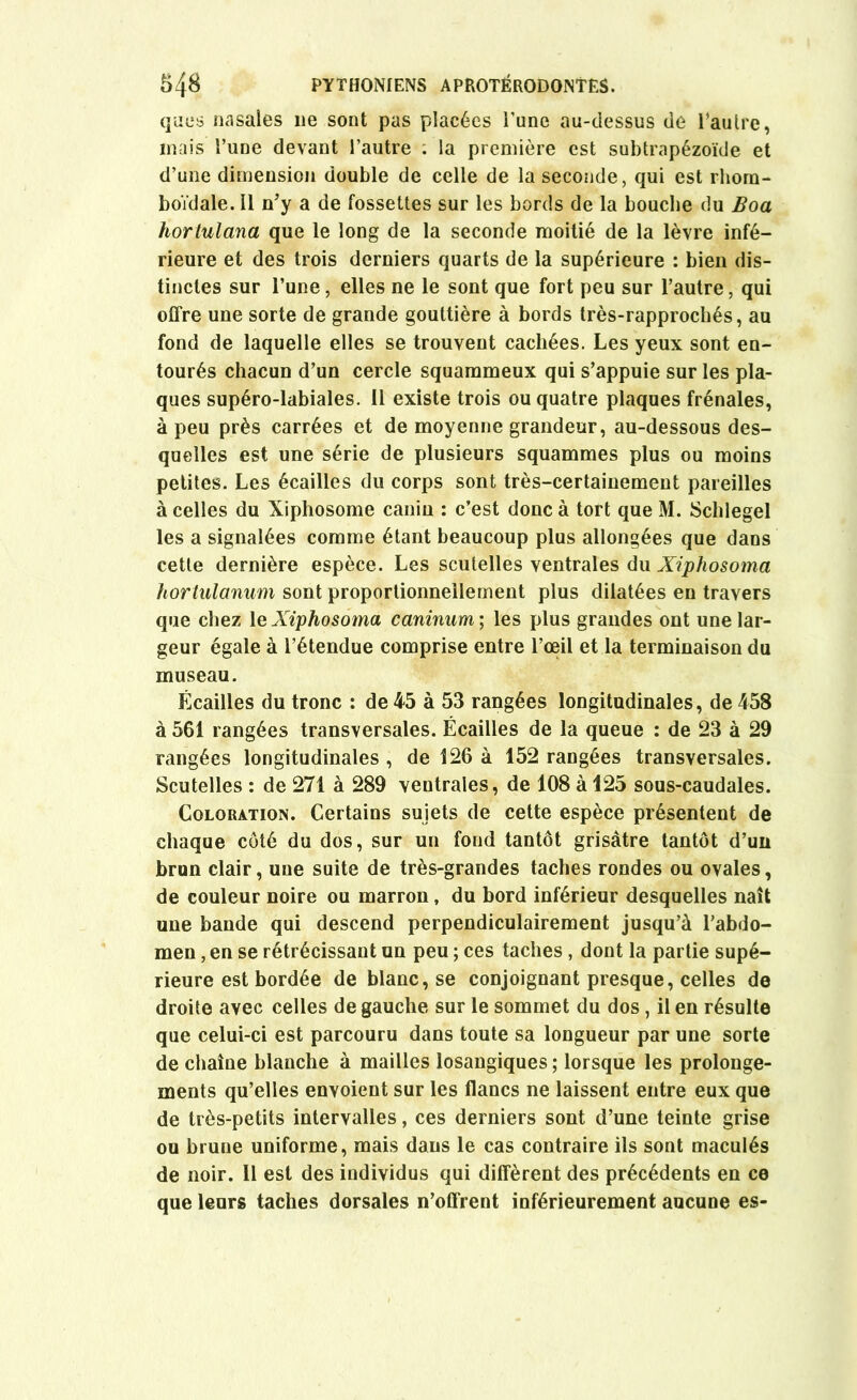ques nasales 11e sont pas placées l'une au-dessus de l’autre, mais l’une devant l’autre ; la première est subtrapézoïde et d’une dimension double de celle de la seconde, qui est rhorn- boïdale. Il n’y a de fossettes sur les bords de la bouche du Boa hortulana que le long de la seconde moitié de la lèvre infé- rieure et des trois derniers quarts de la supérieure : bien dis- tinctes sur l’une, elles ne le sont que fort peu sur l’autre, qui offre une sorte de grande gouttière à bords très-rapprochés, au fond de laquelle elles se trouvent cachées. Les yeux sont en- tourés chacun d’un cercle squammeux qui s’appuie sur les pla- ques supéro-labiales. 11 existe trois ou quatre plaques frênaies, à peu près carrées et de moyenne grandeur, au-dessous des- quelles est une série de plusieurs squammes plus ou moins petites. Les écailles du corps sont très-certainement pareilles à celles du Xiphosome canin : c’est donc à tort que M. Schlegel les a signalées comme étant beaucoup plus allongées que dans cette dernière espèce. Les scutelles ventrales du Xiphosoma hortulanum sont proportionnellement plus dilatées en travers que chez le Xiphosoma caninum ; les plus grandes ont une lar- geur égale à l’étendue comprise entre l’œil et la terminaison du museau. Écailles du tronc : de 45 à 53 rangées longitudinales, de 458 à 561 rangées transversales. Écailles de la queue : de 23 à 29 rangées longitudinales , de 126 à 152 rangées transversales. Scutelles : de 271 à 289 ventrales, de 108 à 125 sous-caudales. Coloration. Certains sujets de cette espèce présentent de chaque côté du dos, sur un fond tantôt grisâtre tantôt d’un brun clair, une suite de très-grandes taches rondes ou ovales, de couleur noire ou marron, du bord inférieur desquelles naît une bande qui descend perpendiculairement jusqu’à l’abdo- men , en se rétrécissant un peu ; ces taches, dont la partie supé- rieure est bordée de blanc, se conjoignant presque, celles de droite avec celles de gauche sur le sommet du dos, il en résulte que celui-ci est parcouru dans toute sa longueur par une sorte de chaîne blanche à mailles losangiques ; lorsque les prolonge- ments qu’elles envoient sur les flancs ne laissent entre eux que de très-petits intervalles, ces derniers sont d’une teinte grise ou brune uniforme, mais dans le cas contraire ils sont maculés de noir. Il est des individus qui diffèrent des précédents en ce que leurs taches dorsales n’offrent inférieurement aucune es-