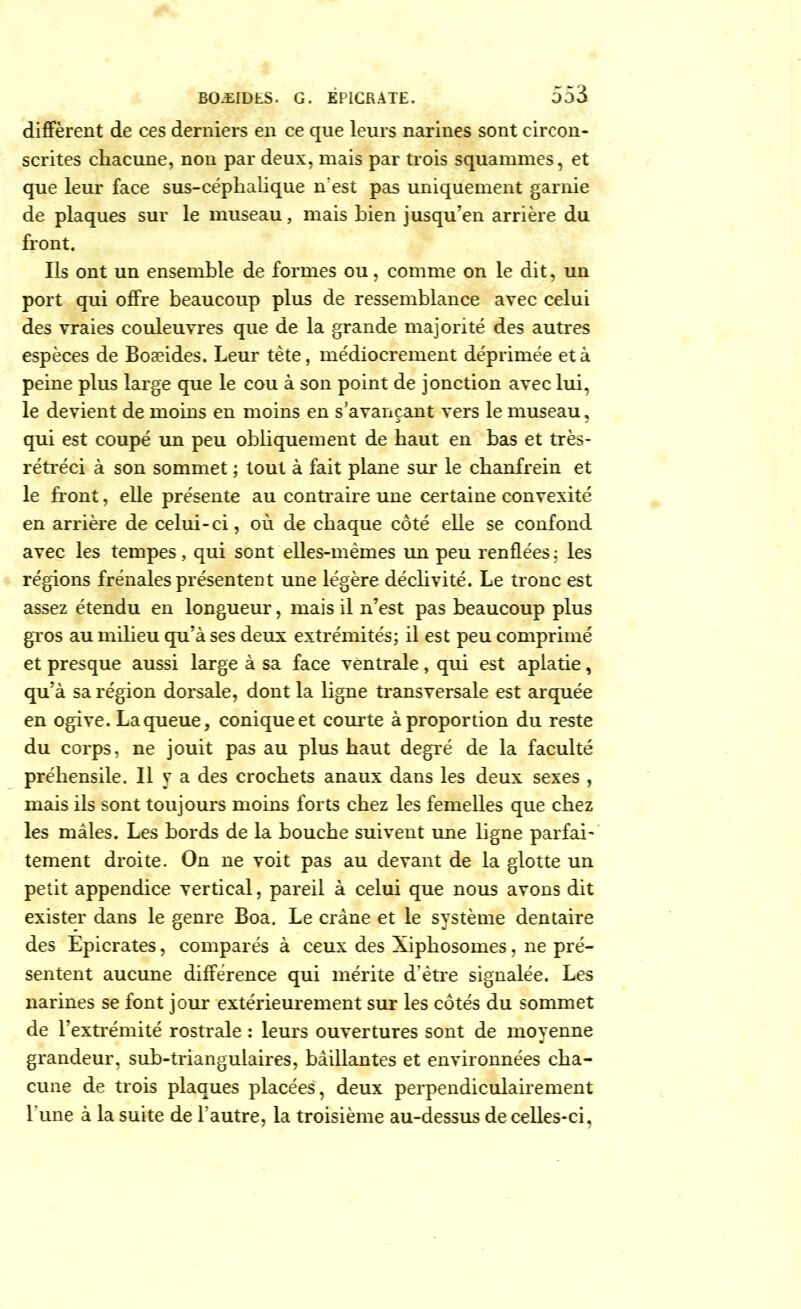 diffèrent de ces derniers en ce que leurs narines sont circon- scrites chacune, non par deux, mais par trois squammes, et que leur face sus-céphalique n:est pas uniquement garnie de plaques sur le museau, mais bien jusqu’en arrière du front. Ils ont un ensemble de formes ou, comme on le dit, un port qui offre beaucoup plus de ressemblance avec celui des vraies couleuvres que de la grande majorité des autres espèces de Boæides. Leur tète, médiocrement déprimée et à peine plus large que le cou à son point de jonction avec lui, le devient de moins en moins en s’avançant vers le museau, qui est coupé un peu obliquement de haut en bas et très- rétréci à son sommet ; tout à fait pleine sur le chanfrein et le front, elle présente au contraire une certaine convexité en arrière de celui-ci, où de chaque côté elle se confond avec les tempes, qui sont elles-mêmes un peu renflées 5 les régions frênaies présentent une légère déclivité. Le tronc est assez étendu en longueur, mais il n’est pas beaucoup plus gros au milieu qu’à ses deux extrémités; il est peu comprimé et presque aussi large à sa face ventrale, qui est aplatie, qu’à sa région dorsale, dont la ligne transversale est arquée en ogive. La queue, conique et courte à proportion du reste du corps, ne jouit pas au plus haut degré de la faculté préhensile. Il y a des crochets anaux dans les deux sexes , mais ils sont toujours moins forts chez les femelles que chez les mâles. Les bords de la bouche suivent une ligne parfai- tement droite. On ne voit pas au devant de la glotte un petit appendice vertical, pareil à celui que nous avons dit exister dans le genre Boa. Le crâne et le système dentaire des Epicrates, comparés à ceux des Xiphosomes, ne pré- sentent aucune différence qui mérite d’ètre signalée. Les narines se font jour extérieurement sur les côtés du sommet de l’extrémité rostrale : leurs ouvertures sont de moyenne grandeur, sub-triangulaires, bâillantes et environnées cha- cune de trois plaques placées, deux perpendiculairement l’une à la suite de l’autre, la troisième au-dessus de celles-ci,