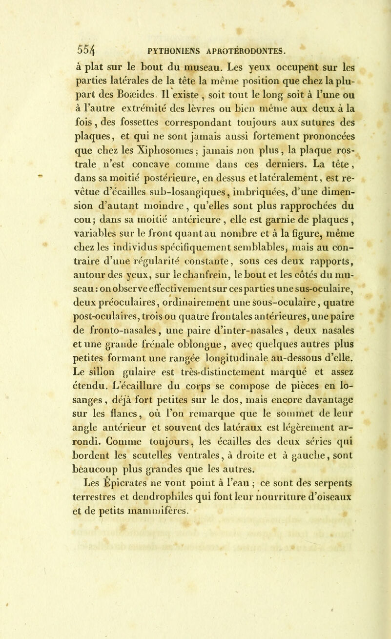 à plat sur le bout du museau. Les yeux occupent sur les parties latérales de la tête la même position que chez la plu- part des Boæides. Il existe , soit tout le long soit à l’une ou à l’autre extrémité des lèvres ou bien même aux deux à la fois, des fossettes correspondant toujours aux sutures des plaques, et qui ne sont jamais aussi fortement prononcées que chez les Xiphosomes ; jamais non plus, la plaque ros- trale n’est concave comme dans ces derniers. La tête, dans sa moitié postérieure, en dessus et latéralement, est re- vêtue d’écailles sub-losangiques, imbriquées, d’une dimen- sion d’autant moindre, qu’elles sont plus rapprochées du cou; dans sa moitié antérieure , elle est garnie de plaques , variables sur le front quant au nombre et à la figure, même chez les individus spécifiquement semblables, mais au con- traire d’une régularité constante, sous ces deux rapports, autour des yeux, sur lechanfrein, le bout et les côtés du mu- seau: on observe effectivementsur ces parties une sus-oculaire, deux préoculaires, ordinairement une sous-oculaire, quatre post-oculaires, trois ou quatre frontales antérieures, une paire de fronto-nasales, une paire d’inter-nasales , deux nasales et une grande frênaie oblongue , avec quelques autres plus petites formant une rangée longitudinale au-dessous d’elle. Le sillon gulaire est très-distinctement marqué et assez étendu. Lecaillure du corps se compose de pièces en lo- sanges , déjà fort petites sur le dos, mais encore davantage sur les flancs, où l’on remarque que le sommet de leur angle antérieur et souvent des latéraux est légèrement ar- rondi. Comme toujours, les écailles des deux séries qui bordent les scutelles ventrales, à droite et à gauche, sont beaucoup plus grandes que les autres. Les Epicrates ne vont point à l’eau ; ce sont des serpents terrestres et dendrophiles qui font leur nourriture d’oiseaux et de petits mammifères.