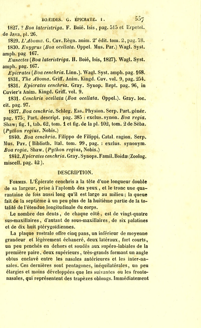 1827. ? 2?oa lateristriga. F. Boié. Isis, pag. 515 et Erpetol. de Java, pl. 26. 1829. L'Aboma. G. Cuv. Règn. anim. 2e édit. tom. 2, pag. 78. 1830. Enygrus {Boa ocellata. Oppel. Mus. Par.) Wagl. Syst. ampli, pag 167. Eunectes (Boa lateristriga. H. Boié, Isis, 1827). Wagl. Syst. ampli, pag. 167. Epicrates (Boa cenchria. Linn.). Wagl. Syst. ampli, pag. 168. 1831. The Aboma. Griff. Anim. Kingd. Cuv. vol. 9, pag. 254. 1831. Epicrates cenchria. Gray. Synop. Rept. pag. 96, in Cuvier’s Anim. Kingd. Griff. vol. 9. 1831. Cenchris ocellata {Boa ocellata. Oppel.). Gray. loc. cit. pag. 97. 1837. Boa cenchria. Schleg. Ess. Physion. Serp. Part.génér. pag. 175; Part, descript. pag. 385 : exclus, synon. Boa regia. Shaw; fig. 1, tab. 62, tom. 1 et fig. de la pl. 102, tom. 2 de Séba, {Python regius. Nobis.) 1840. Boa cenchria. Filippo de Filippi. Catal. ragion. Serp. Mus. Pav. ( Biblioth. Ital. tom. 99, pag. : exclus, synonym. Boa regia. Shaw. (Python regius, Nobis.) 1842. Epier aies cenchria. Gray. Synops.Famil.Boidæ(Zoolog. miscell. pag. 42). DESCRIPTION. Formes. L’Épicrate cenchris a la tête d’une longueur double de sa largeur, prise à l’aplomb des yeux, et le tronc une qua- rantaine de fois aussi long qu’il est large au milieu ; la queue fait de la septième à un peu plus de la huitième partie de la to» talité de l’étendue longitudinale du corps. Le nombre des dents, de chaque côté, est de vingt-quatre sus-maxillaires, d’autant de sous-maxillaires, de six palatines et de dix huit ptérygoïdiennes. La plaque rostrale offre cinq pans, un inférieur de moyenne grandeur et légèrement échancré, deux latéraux, fort courts, un peu penchés en dehors et soudés aux supéro-labiales de la première paire, deux supérieurs, très-grands formant un angle obtus enclavé entre les nasales antérieures et les inter-na- sales. Ces dernières sont pentagones, inéquilatérales, un peu élargies et moins développées que les suivantes ou les fronto- nasales, qui représentent des trapèzes oblougs. Immédiatement