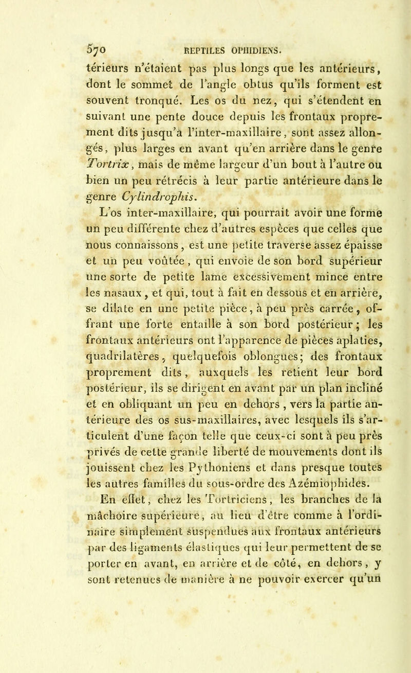 teneurs n'étaient pas plus longs que les antérieurs, dont le sommet de l’angle obtus qu’ils forment est souvent tronqué. Les os du nez, qui s’étendent en suivant une pente douce depuis les frontaux propre- ment dits jusqu'à l’inter-maxillaire , sont assez allon- gés, plus larges en avant qu’en arrière dans le genre Tortrix, mais de même largeur d’un bout à l’autre ou bien un peu rétrécis à leur partie antérieure dans le genre Cylindrophis. L’os inter-maxillaire, qui pourrait avoir une forme un peu différente chez d’autres espèces que celles que nous connaissons, est une petite traverse assez épaisse et un peu voûtée , qui envoie de son bord supérieur une sorte de petite lame é^cessitément mince entre les nasaux, et qui, tout à fait en dessous et en arrière, se dilate en une petite pièce, à peu près carrée, of- frant une forte entaille à son bord postérieur ; les frontaux antérieurs ont l’apparence dé pièces aplaties, quadrilatères 5 quelquefois oblongues; des frontaux proprement dits, auxquels les retient leur bord postérieur, ils se dirigent en avant par un plan incliné et en obliquant un peu en dehors , vers la partie an- térieure des os sus-maxillaires, avec lesquels ils s’ar- ticulent d’une façon telle que ceux-ci sont à peu près privés de cette grande liberté de mouvements dont ils jouissent chez les Pythoniens et dans presque toutes les autres familles du sous-ordre des Azémiophides. En eiïet, chez les Tortriciens, les branches de la mâchoire supérieure, au lieu d’être comme à l’ordi- naire simplement suspendues aux frontaux antérieurs par des ligaments élastiques qui leur permettent de se porter en avant, en arrière et de côté, en dehors, y sont retenues de manière à ne pouvoir exercer qu’un