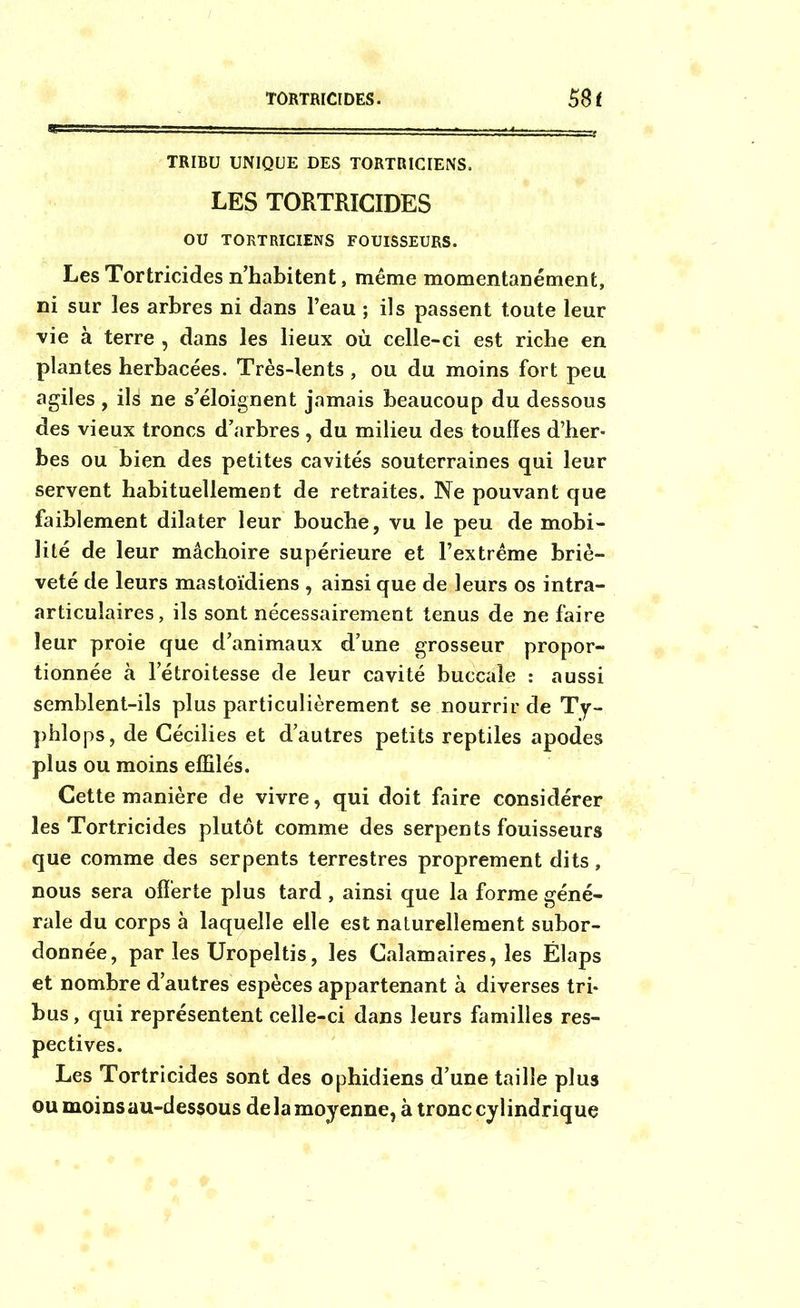 TRIBU UNIQUE DES TORTRICIENS. LES TORTRICIDES OU TORTRICIENS FOUISSEURS. Les Tortricides n’habitent, même momentanément, ni sur les arbres ni dans l’eau ; ils passent toute leur vie à terre , dans les lieux où celle-ci est riche en plantes herbacées. Très-lents , ou du moins fort peu agiles , ils ne s’éloignent jamais beaucoup du dessous des vieux troncs d’arbres , du milieu des touffes d’her- bes ou bien des petites cavités souterraines qui leur servent habituellement de retraites. Ne pouvant que faiblement dilater leur bouche, vu le peu de mobi- lité de leur mâchoire supérieure et l’extrême briè- veté de leurs mastoïdiens , ainsi que de leurs os intra- articulaires, ils sont nécessairement tenus de ne faire leur proie que d’animaux d’une grosseur propor- tionnée à l’étroitesse de leur cavité buccale : aussi semblent-ils plus particulièrement se nourrir de Ty- pblops, de Gécilies et d’autres petits reptiles apodes plus ou moins effilés. Cette manière de vivre, qui doit faire considérer les Tortricides plutôt comme des serpents fouisseurs que comme des serpents terrestres proprement dits, nous sera offerte plus tard, ainsi que la forme géné- rale du corps à laquelle elle est naturellement subor- donnée, par les Uropeltis, les Calamaires, les Élaps et nombre d’autres espèces appartenant à diverses tri- bus , qui représentent celle-ci dans leurs familles res- pectives. Les Tortricides sont des ophidiens d’une taille plus ou moins au-dessous de la moyenne, à tronc cylindrique