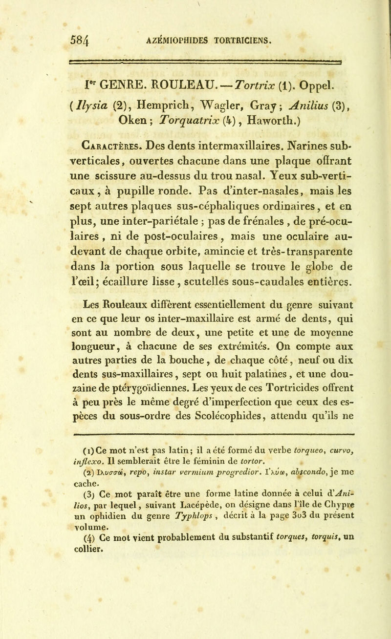 Ier GENRE. ROULEAU. — Tortrix (1). Oppel. ( Ilysia (2), Hemprich, Wagler, Gray; Anilius{$)t Oken; Torquatrix (4), Haworth.) Caractères. Des dents intermaxillaires. Narines sub- verticales, ouvertes chacune dans une plaque offrant une scissure au-dessus du trou nasal. Yeux sub-verti- caux, à pupille ronde. Pas d’inter-nasales, mais les sept autres plaques sus-céphaliques ordinaires, et en plus, une inter-pariétale ; pas de frênaies , de pré-ocu- laires , ni de post-oculaires, mais une oculaire au- devant de chaque orbite, amincie et très-transparente dans la portion sous laquelle se trouve le globe de l’œil; écaillure lisse , scutelles sous-caudales entières. Les Rouleaux diffèrent essentiellement du genre suivant en ce que leur os inter-maxillaire est armé de dents, qui sont au nombre de deux, une petite et une de moyenne longueur, à chacune de ses extrémités. On compte aux autres parties de la bouche , de chaque côté, neuf ou dix dents sus-maxillaires, sept ou huit palatines , et une dou- zaine de ptérygoïdiennes. Les yeux de ces Tortricides offrent à peu près le même degré d’imperfection que ceux des es- pèces du sous-ordre des Scolécophides, attendu qu’ils ne (1) Ce mot n’est pas latin; il a été formé du verbe torqueo, curvo, injlexo. Il semblerait être le féminin de tortor. (2) Ihvcrcrûù, repo, instar vermium progredior. ïxôon, abscondo, je me cache. (3) Ce mot paraît être une forme latine donnée à celui d'Ani- lios, par lequel, suivant Lacépède, on désigne dans l’île de Chypre un ophidien du genre Typhlops , décrit à la page 3o3 du présent volume. (4) Ce mot vient probablement du substantif torques, torquis, un collier.
