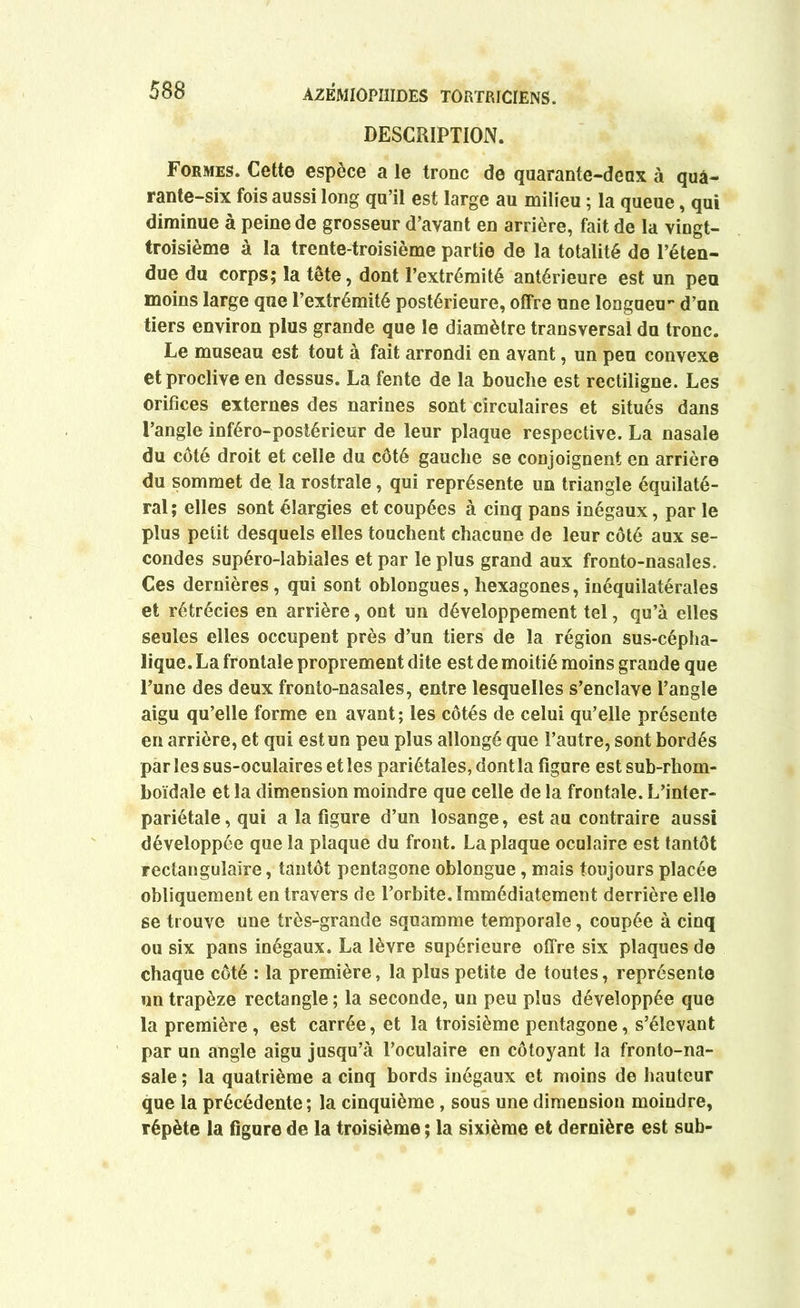 DESCRIPTION. Formes. Cette espèce a le tronc de quarante-deux à quâ- rante-six fois aussi long qu’il est large au milieu ; la queue, qui diminue à peine de grosseur d’avant en arrière, fait de la vingt- troisième à la trente-troisième partie de la totalité de l’éten- due du corps; la tête, dont l’extrémité antérieure est un peu moins large que l’extrémité postérieure, offre une longueu*' d’un tiers environ plus grande que le diamètre transversal du tronc. Le museau est tout à fait arrondi en avant, un peu convexe et proclive en dessus. La fente de la bouche est rectiligne. Les orifices externes des narines sont circulaires et situés dans l’angle inféro-postérieur de leur plaque respective. La nasale du côté droit et celle du côté gauche se conjoignent en arrière du sommet de la rostrale, qui représente un triangle équilaté- ral; elles sont élargies et coupées à cinq pans inégaux, par le plus petit desquels elles touchent chacune de leur côté aux se- condes supéro-labiales et par le plus grand aux fronto-nasales. Ces dernières, qui sont oblongues, hexagones, inéquilatérales et rétrécies en arrière, ont un développement tel, qu’à elles seules elles occupent près d’un tiers de la région sus-cépha- lique. La frontale proprement dite est de moitié moins grande que l’une des deux fronto-nasales, entre lesquelles s’enclave l’angle aigu qu’elle forme en avant; les côtés de celui qu’elle présente en arrière, et qui est un peu plus allongé que l’autre, sont bordés par les sus-oculaires et les pariétales, dont la figure est sub-rhom- boïdale et la dimension moindre que celle de la frontale. L’inter- pariétale, qui a la figure d’un losange, est au contraire aussi développée que la plaque du front. La plaque oculaire est tantôt rectangulaire, tantôt pentagone oblongue, mais toujours placée obliquement en travers de l’orbite. Immédiatement derrière elle se trouve une très-grande squamme temporale, coupée à cinq ou six pans inégaux. La lèvre supérieure offre six plaques de chaque côté : la première, la plus petite de toutes, représente un trapèze rectangle ; la seconde, un peu plus développée que la première, est carrée, et la troisième pentagone, s’élevant par un angle aigu jusqu’à l’oculaire en côtoyant la fronto-na- sale ; la quatrième a cinq bords inégaux et moins de hauteur que la précédente; la cinquième , sous une dimension moindre, répète la figure de la troisième ; la sixième et dernière est sub-