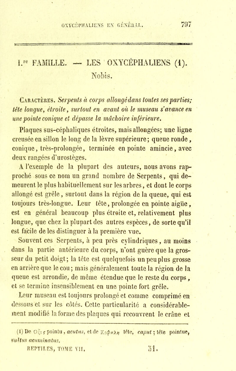 I.re FAMILLE. — LES 1 OXYGÉPHALIENS (4). Nobis. Caractères. Serpents à corps allongédans toutes ses parties; tête longue, étroite, surtout en avant où le museau s’avance en une pointe conique et dépasse la mâchoire inférieure. Plaques sus-céphaliques étroites, mais allongées; une ligne creusée en sillon le long de la lèvre supérieure; queue ronde, conique, très-prolongée, terminée en pointe amincie, avec deux rangées d’urostèges. A l’exemple de la plupart des auteurs, nous avons rap- proché sous ce nom un grand nombre de Serpents, qui de- meurent le plus habituellement sur les arbres, et dont le corps allongé est grêle, surtout dans la région de la queue, qui est toujours très-longue. Leur tête, prolongée en pointe aigiie, est en général beaucoup plus étroite et, relativement plus longue, que chez la plupart des autres espèces, de sorte qu’il est facile de les distinguer à la première vue. Souvent ces Serpents, à peu près cylindriques, au moins dans la partie antérieure du corps, n’ont guère que la gros- seur du petit doigt; la tête est quelquefois un peu plus grosse en arrière que le cou; mais généralement toute la région de la queue est arrondie, de même étendue que le reste du corps, et se termine insensiblement en une pointe fort grêle. Leur museau est toujours prolongé et comme comprimé en. dessous et sur les côtés. Cette particularité a considérable- ment modifié la forme des plaques qui recouvrent le crâne et (0 Do, oi’-t ç pointu, acutus, et de tête, caput ; tête pointue, pultus ncuminatus, REPTILES, TOME VU, «11.