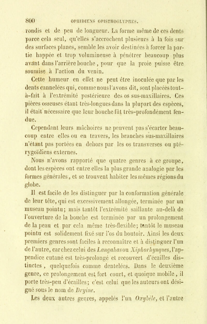 rondis et de peu de longueur. La forme même de ces dents parce cela seul, qu’elles s’accrochent plusieurs à la fois sur des surfaces planes, semble les avoir destinées à forcer la par- tie happée et trop volumineuse à pénétrer beaucoup plus avtfnt dans l’arrière bouche, pour que la proie puisse être soumise à l’action du venin. Cette humeur en effet ne peut être inoculée que par les dents cannelées qui, comme nous Lavons dit, sont placéès tout- à-fait à l’extrémité postérieure des os sus-maxillaires. Ces pièces osseuses étant très-longues dans la plupart des espèces, il était nécessaire que leur bouche fut très-profondément fen- due. Cependant leurs mâchoires ne peuvent pas s’écarter beau- coup entre elles ou en travers, les branches sus-maxillaires n'étant pas portées en dehors par les os transverses ou pté- rygoïdiens externes. Nous n’avons rapporté que quatre genres à ce groupe, dont les espèces ont entre elles la plus grande analogie par les formes générales, et se trouvent habiter les mêmes régions du globe. Il est facile de les distinguer par la conformation générale de leur tête, qui est excessivement allongée, terminée par un museau pointu; mais tantôt l’extrémité saillante au-delà de l’ouverture de la bouche est terminée par un prolongement de la peau et par cela même très-flexible; tantôt le museau pointu est solidement fixé sur Los du boutoir. Ainsi les deux premiers genres sont faciles à reconnaître et à distinguer Lun de l’autre, car chez celui des Langahas ou Xiphorhynques,Viïp- pendice cutané est très-prolongé et recouvert d’écailles dis- tinctes , quelquefois comme dentelées. Dans le deuxième genre, ce prolongement est fort court, et quoique mobile, il porte très-peu d’écailles; c’est celui que les auteurs ont dési- gné sous le nom de Dryine. Les deux autres genres, appelés l’un Oxybèle, et l’autre