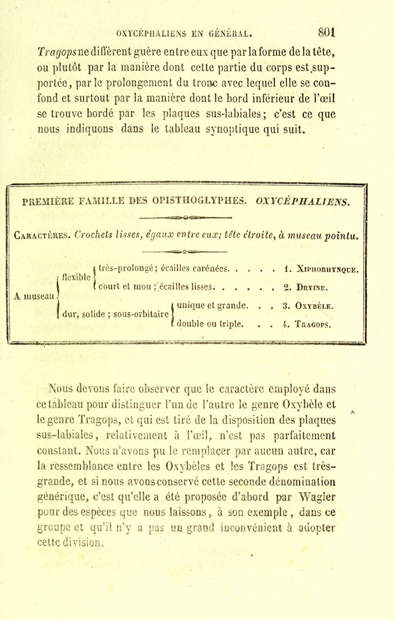 Tragops ne diffèrent guère entre eux que par la forme de la tête, ou plutôt par la manière dont cette partie du corps est .sup- portée, par le prolongement du tronc avec lequel elle se con- fond et surtout par la manière dont le bord inférieur de l’œil se trouve bordé par les plaques sus-labiales ; c’est ce que nous indiquons dans le tableau synoptique qui suit. PREMIÈRE FAMILLE DES OPISTHQGLYPHES. OXYCÉPHALIENS. Caractères. Crochets lisses, égaux entre eux; tête étroite, à museau pointu. A museau !très-prolongé; écailles carénées 1. Xiriioruynquk. court et mou ;'écailles lisses 2. Dryine. I unique et grande. . . 3. Oxybèle, double ou triple. . . 4. Tragops. Nous devons faire observer que le caractère employé dans ce tableau pour distinguer l’un de l’autre le genre Oxybèle et le genre Tragops, et qui est tiré de la disposition des plaques sus-labiales, relativement à l’œil, n’est pas parfaitement constant. Nous n’avons pu le remplacer par aucun autre, car la ressemblance entre les Oxybèles et les Tragops est très- grande, et si nous avons conservé cette seconde dénomination générique, c’est qu’elle a été proposée d’abord par Wagîer pour des espèces que nous laissons, à son exemple, dans ce groupe et qu’il n’y a pas un grand inconvénient à adopter cette division.