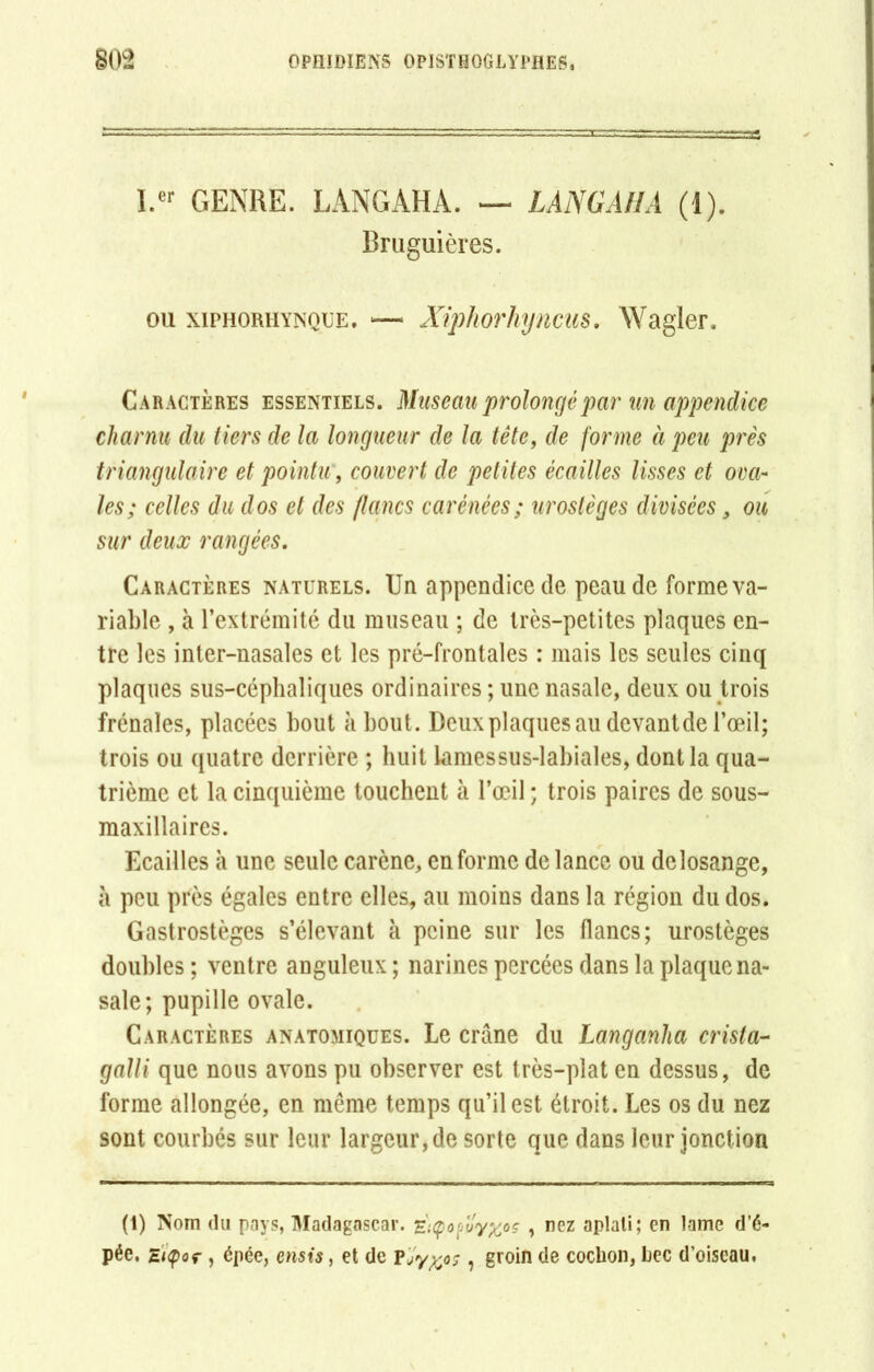 I.er GENRE. LANG AH A. — LANGAHA (1). Bruguières. ou xiPHORHYNQUE, — Xiphorhyncus. Wagler. Caractères essentiels. Museau prolongé par un appendice charnu du tiers de la longueur de la tête, de forme à peu près triangulaire et pointu, couvert de petites écailles lisses et ova- les; celles du dos et des flancs carénées; urostèges divisées, ou sur deux rangées. Caractères naturels. Un appendice de peau de forme va- riable , à l’extrémité du museau ; de très-petites plaques en- tre les inter-nasales et les pré-frontales : mais les seules cinq plaques sus-céphaliques ordinaires ; une nasale, deux ou trois frênaies, placées bout à bout. Deux plaques au devantde l’œil; trois ou quatre derrière ; huit iamessus-labiales, dont la qua- trième et la cinquième touchent à l’œil ; trois paires de sous- maxillaires. Ecailles à une seule carène, en forme de lance ou de losange, à peu près égales entre elles, au moins dans la région du dos. Gastrostèges s’élevant à peine sur les flancs; urostèges doubles; ventre anguleux; narines percées dans la plaque na- sale; pupille ovale. Caractères anatomiques. Le crâne du Langanha crista- galli que nous avons pu observer est très-plat en dessus, de forme allongée, en même temps qu’il est étroit. Les os du nez sont courbés sur leur largeur, de sorte que dans leur jonction (1) Nom du pays, Madagascar. Zt<pofuy%oç , nez aplati; en lame d’é- pée, ztçor, épée, cnsis, et de pjy^o;, groin de cochon, Dec d’oiseau.