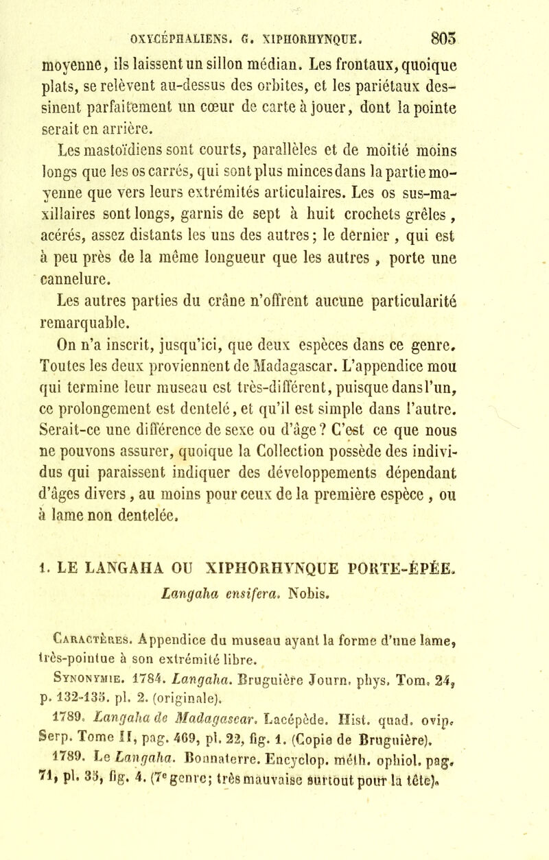 OXYCÉPBALIËNS. G. XIPHORHYNQUE, 805 moyenne, ils laissent un sillon médian. Les frontaux, quoique plats, se relèvent au-dessus des orbites, et les pariétaux des- sinent parfaitement un cœur de carte à jouer, dont la pointe serait en arrière. Les mastoïdiens sont courts, parallèles et de moitié moins longs que les os carrés, qui sont plus mincesdans la partie mo- yenne que vers leurs extrémités articulaires. Les os sus-ma- xillaires sont longs, garnis de sept à huit crochets grêles, acérés, assez distants les uns des autres ; le dernier , qui est à peu près de la même longueur que les autres, porte une cannelure. Les autres parties du crâne n’offrent aucune particularité remarquable. On n’a inscrit, jusqu’ici, que deux espèces dans ce genre* Toutes les deux proviennent de Madagascar. L’appendice mou qui termine leur museau est très-différent, puisque dansl’un, ce prolongement est dentelé, et qu’il est simple dans l’autre. Serait-ce une différence de sexe ou d’âge? C’est ce que nous ne pouvons assurer, quoique la Collection possède des indivi- dus qui paraissent indiquer des développements dépendant d’âges divers, au moins pour ceux de la première espèce , ou à lame non dentelée. 1. LE LANGAHA OU XIPHORHYNQUE PORTE-ÉPÉE. Langaha ensifera, Nobis. Caractères. Appendice du museau ayant la forme d'une lame, très-pointue à son extrémité libre. Synonymie. 1784. Langaha. Bruguière Journ, phys. Tom. 24, p. 132-135. pl. 2. (originale). 1789. Langaha de Madagascar, Lacépède. Hist. quad, ovipc Serp. Tome II, pag. 469, pl, 22, fig. 1. (Copie de Bruguière). 1789. Le Langaha. Bonnaterre. Encyclop. méth. ophiob pag*