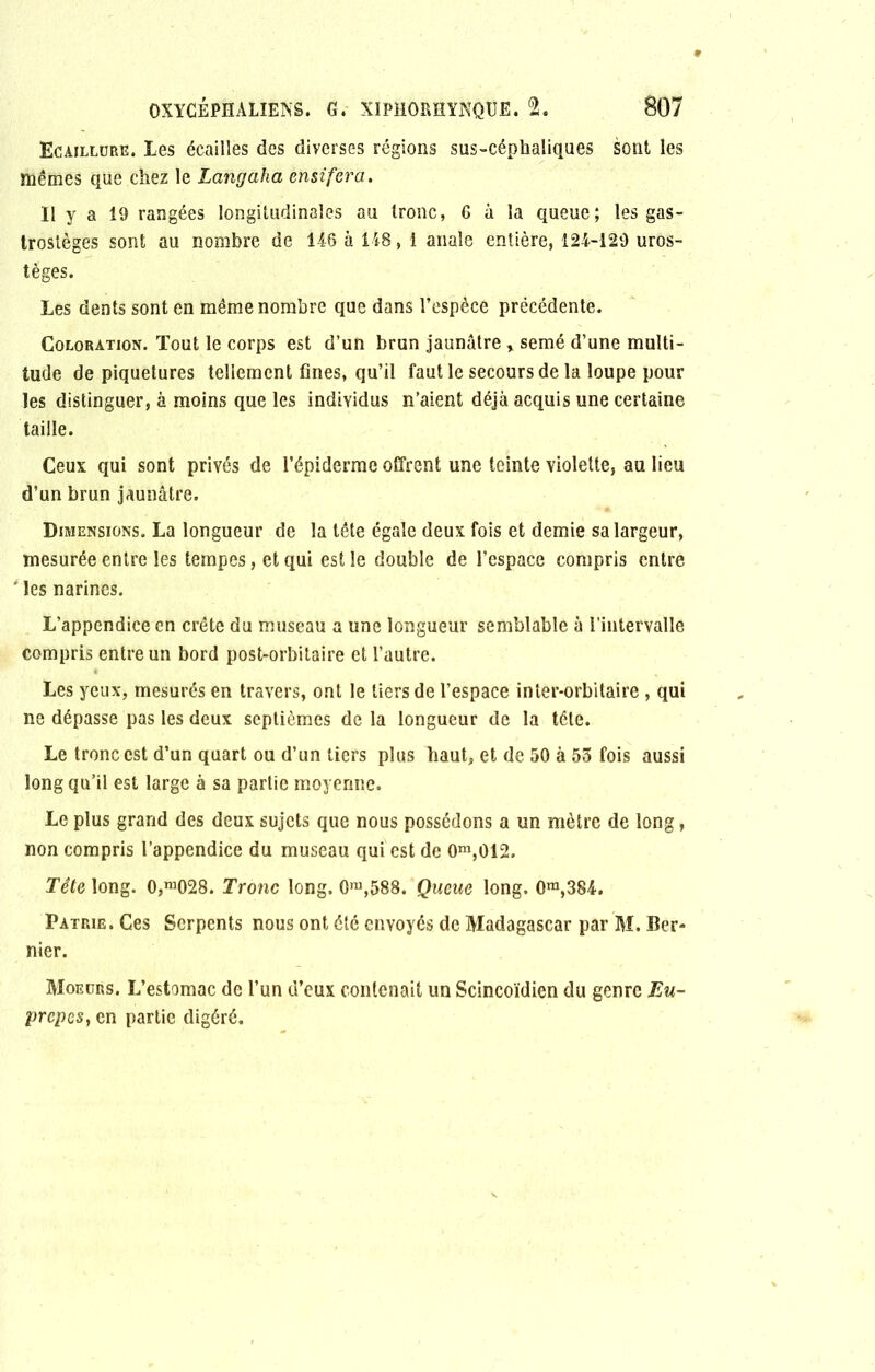 Ecajllüre. Les écailles des diverses régions sus-céphaliques sont les mêmes que chez le Langaha ensifera. Il y a 19 rangées longitudinales au tronc, 6 à la queue; les gas- trosièges sont au nombre de 146 à 148, 1 anale entière, 124-129 uros- tèges. Les dents sont en même nombre que dans l’espèce précédente. Coloration. Tout le corps est d’un brun jaunâtre » semé d’une multi- tude de piquetures tellement fines, qu’il faut le secours de la loupe pour les distinguer, à moins que les individus n’aient déjà acquis une certaine taille. Ceux qui sont privés de l’épiderme offrent une teinte violette, au lieu d’un brun jaunâtre. Dimensions. La longueur de la tête égale deux fois et demie sa largeur, mesurée entre les tempes, et qui est le double de l’espace compris entre ' les narines. L’appendice en crête du museau a une longueur semblable à l'intervalle compris entre un bord post-orbitaire et l’autre. Les yeux, mesurés en travers, ont le tiers de l’espace inter-orbitaire , qui ne dépasse pas les deux septièmes de la longueur de la tête. Le tronc est d’un quart ou d’un tiers plus haut, et de 50 à 53 fois aussi long qu’il est large à sa partie moyenne. Le plus grand des deux sujets que nous possédons a un mètre de long, non compris l’appendice du museau qui est de 0m,012. Tête long. 0,ra028. Tronc long. 0m,588. Queue long. 0m,384. Patrie. Ces Serpents nous ont été envoyés de Madagascar par M. Der- nier. Moeurs. L’estomac de l’un d’eux contenait un Scincoïdien du genre Eu- prepes, en partie digéré.