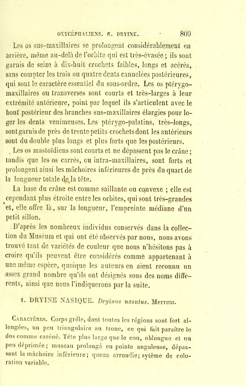 Les os sus-maxillaires se prolongent considérablement en arrière, même au-delà de l’orbite qui est très-évasée; iis sont garnis de seize à dix-huit crochets faibles, longs et acérés, sans compter les trois ou quatre dents cannelées postérieures, qui sont le caractère essentiel du sous-ordre. Les os ptérygo- maxillaires ou transverses sont courts et très-larges à leur extrémité antérieure, point par lequel ils s’articulent avec le bout’ postérieur des branches sus-maxillaires élargies pour lo- ger les dents venimeuses. Les ptérygo-palatins. très-longs, sont garnis de près de trente petits crochets dont les antérieurs sont du double plus longs et plus forts que les postérieurs. , Les os mastoïdiens sont courts et ne dépassent pas le crâne ; tandis que les os carrés, ou intra-maxillaires, sont forts et prolongent ainsi les mâchoires inférieures de près du quart de la longueur totale de la tête. La hase du crâne est comme saillante ou convexe ; elle est cependant plus étroite entre les orbites, qui sont très-grandes et, elle offre là, sur la longueur, l’empreinte médiane d’un petit sillon. D’après les nombreux individus conservés dans la collec- tion du Muséum et qui ont été observés par nous, nous avons trouvé tant de variétés de couleur que nous n’hésitons pas à croire qu’ils peuvent être considérés comme appartenant à une môme espèce, quoique les auteurs en aient reconnu un assez grand nombre qu’ils ont désignés sous des noms diffé- rents, ainsi que nous l’indiquerons par la suite. 1. DRYINE NASÏQUE. Dry inus nasutus. Merrem. Cauactèhes. Corps grêle, dont toutes les régions sont fort al- longées, un peu triangulaire au tronc, ce qui fait paraître le dos comme caréné. Lete plus large que le cou, oblongue et un peu déprimée; museau prolongé en pointe anguleuse, dépas- sant la mâchoire inférieure; queue arrondie; sytème de colo- ration variable,