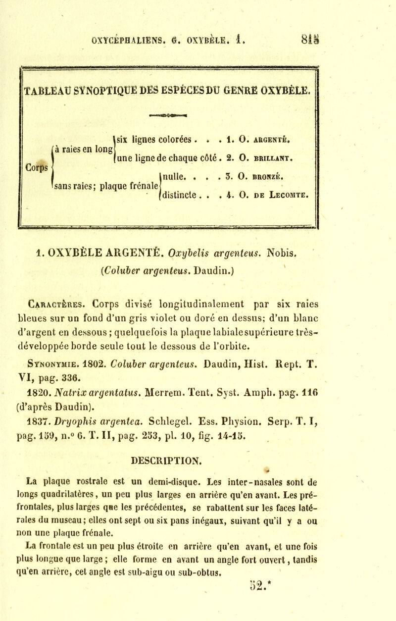 TABLEAU SYNOPTIQUE DES ESPÈCES DU GENRE OXYBÈLE. à raies en long Corps six lignes colorées. * . 1. O. argenté. une ligne de chaque côté. 2. O. brillant. 'sans raies; plaque frênaie J Inulle. . 3. O. BRONZÉ. /distincte . . . 4. O. de Lecomte. 1. OXYBÈLE ARGENTÉ. Oxylelis argenteus. Nobis. (Coluher argenteus. Daudin.) Caractères. Corps divisé longitudinalement par six raies bleues sur un fond d’un gris violet ou doré en dessus; d’un blanc d’argent en dessous ; quelquefois la plaque labialesupérieure très- développée borde seule tout le dessous de l’orbite. Synonymie. 1802. Coluber argenteus. Daudin, Hist. Rept. T. YI, pag. 336. 1820. Natrix argentatus. Merrem. Tent, Syst. Amph. pag. 116 (d’après Daudin). 1837. Dryophis argentea. Schlegel. Ess. Physion. Serp. T. I, pag. 139, n.° 6. T. II, pag. 233, pl. 10, fig. 14-13. DESCRIPTION. La plaque rostrale est un demi-disque. Les inter-nasales sont de longs quadrilatères, un peu plus larges en arrière qu’en avant. Les pré- frontales, plus larges que les précédentes, se rabattent sur les faces laté- rales du museau ; elles ont sept ou six pans inégaux, suivant qu’il y a ou non une plaque frênaie. La frontale est un peu plus étroite en arrière qu’en avant, et une fois plus longue que large ; elle forme en avant un angle fort ouvert, tandis qu’en arrière, cet angle est sub-aigu ou sub-obtus. 52/
