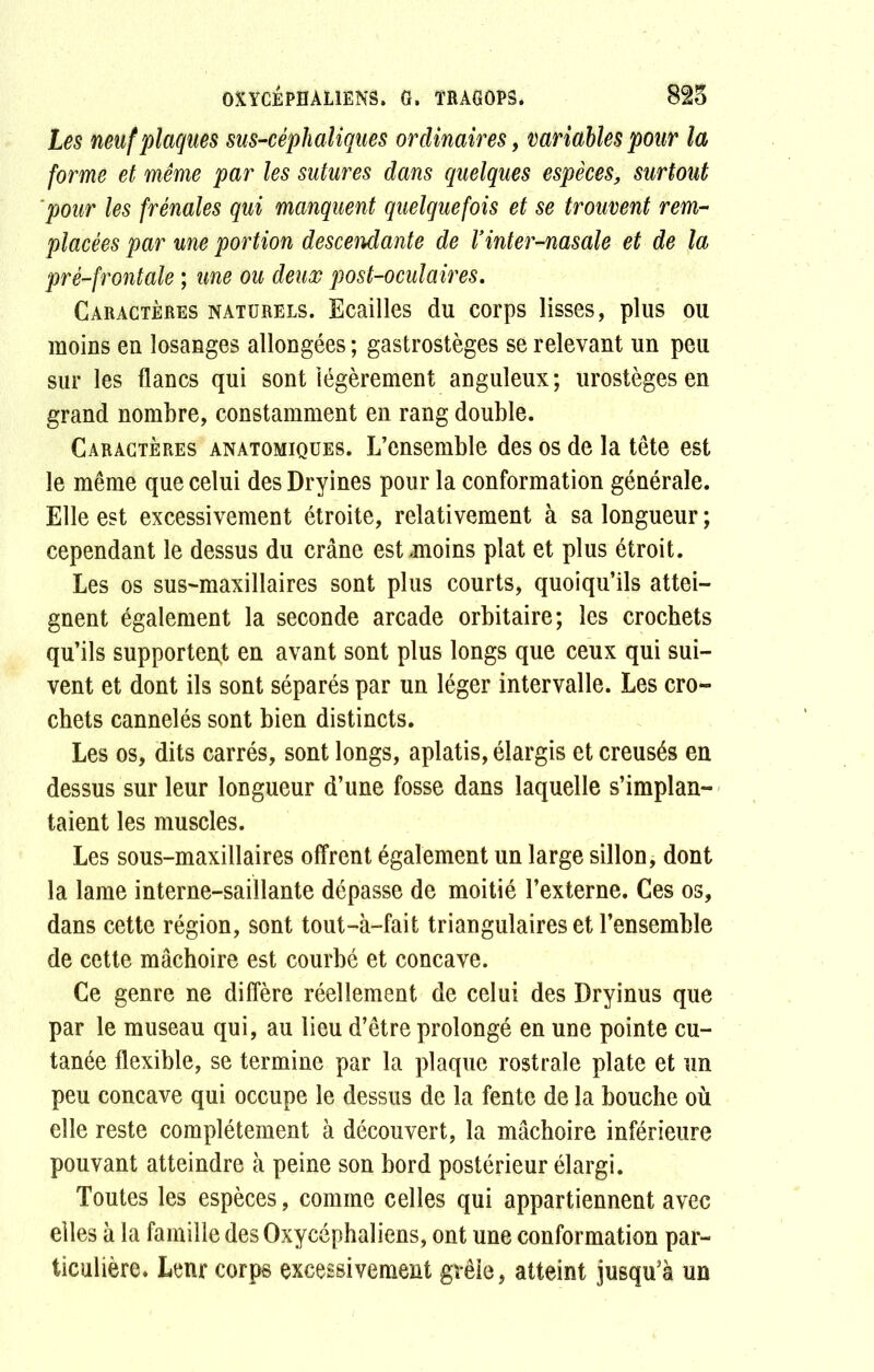 OXYCEPHALIENS. G. ÎRAGOPS. 825 Les neuf plaques sus-céphaliques ordinaires, variables pour la forme et même par les sutures dans quelques espèces, surtout pour les frênaies qui manquent quelquefois et se trouvent rem- placées par une portion descendante de Vinter-nasale et de la pré-frontale ; une ou deux post-oculaires. Caractères naturels. Ecailles du corps lisses, plus ou moins en losanges allongées ; gastrostèges se relevant un peu sur les flancs qui sont légèrement anguleux; urostèges en grand nombre, constamment en rang double. Caractères anatomiques. L’ensemble des os de la tête est le même que celui des Dryines pour la conformation générale. Elle est excessivement étroite, relativement à sa longueur ; cependant le dessus du crâne est-moins plat et plus étroit. Les os sus-maxillaires sont plus courts, quoiqu’ils attei- gnent également la seconde arcade orbitaire; les crochets qu’ils supportent en avant sont plus longs que ceux qui sui- vent et dont ils sont séparés par un léger intervalle. Les cro- chets cannelés sont bien distincts. Les os, dits carrés, sont longs, aplatis, élargis et creusés en dessus sur leur longueur d’une fosse dans laquelle s’implan- taient les muscles. Les sous-maxillaires offrent également un large sillon, dont la lame interne-saillante dépasse de moitié l’externe. Ces os, dans cette région, sont tout-à-fait triangulaires et l’ensemble de cette mâchoire est courbé et concave. Ce genre ne diffère réellement de celui des Dryinus que par le museau qui, au lieu d’être prolongé en une pointe cu- tanée flexible, se termine par la plaque rostrale plate et un peu concave qui occupe le dessus de la fente de la bouche où elle reste complètement à découvert, la mâchoire inférieure pouvant atteindre à peine son bord postérieur élargi. Toutes les espèces, comme celles qui appartiennent avec elles à la famille des Oxycéphaliens, ont une conformation par- ticulière. lenr corps excessivement grêle, atteint jusqu’à un