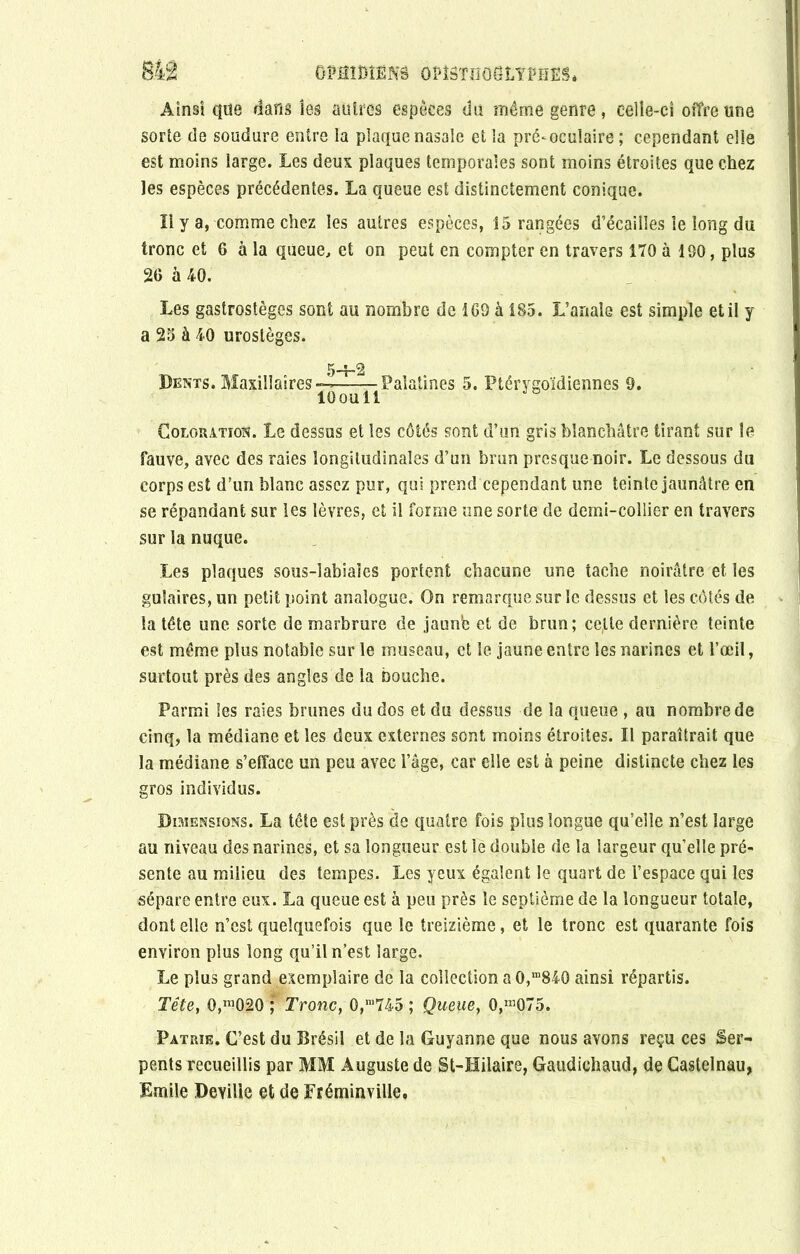 ÛM1MNS OMSTnOÔLTPEËS. Ainsi que dans les autres espèces du même genre, eelie-cî offre une sorte de soudure entre la plaque nasale et la préscolaire ; cependant elle est moins large. Les deux plaques temporales sont moins étroites que chez les espèces précédentes. La queue est distinctement conique. Il y a, comme chez les autres espèces, 15 rangées d’écailîes le long du tronc et 6 à la queue, et on peut en compter en travers 170 à 190, plus 26 à 40. Les gastrostèges sont au nombre de 169 à 185. L’anale est simple et il y a 25 à 40 uroslèges. 5-5-2 Dents. Maxillaires— Palatines 5. Ptérygoïdiennes 9. lOoull 3b Coloration. Le dessus et les côtés sont d’un gris blanchâtre tirant sur le fauve, avec des raies longitudinales d’un brun presque noir. Le dessous du corps est d’un blanc assez pur, qui prend cependant une teinte jaunâtre en se répandant sur les lèvres, et il forme une sorte de demi-collier en travers sur la nuque. Les plaques sous-îabiaîes portent chacune une tache noirâtre et les gulaires, un petit point analogue. On remarque sur le dessus et les côtés de la tête une sorte de marbrure de jaunb et de brun; ce,lie dernière teinte est même plus notable sur le museau, et le jaune entre les narines et l’œil, surtout près des angles de la bouche. Parmi les raies brunes du dos et du dessus de la queue , au nombre de cinq, la médiane et les deux externes sont moins étroites. Il paraîtrait que la médiane s’efface un peu avec l’âge, car elle est à peine distincte chez les gros individus. Dimensions. La tête est près de quatre fois plus longue qu’elle n’est large au niveau des narines, et sa longueur est le double de la largeur qu’elle pré- sente au milieu des tempes. Les yeux égalent le quart de l’espace qui les sépare entre eux. La queue est à peu près le septième de la longueur totale, dont elle n’est quelquefois que le treizième, et le tronc est quarante fois environ plus long qu’il n’est large. Le plus grand exemplaire de la collection a 0,m84G ainsi répartis. Tête, 0,m02Q ; Tronc, 0,m745 ; Queue, 0,mG75. Patrie. C’est du Brésil et de la Guyanne que nous avons reçu ces Ser- pents recueillis par MM Auguste de St-Hilaire, Gaudiehaud, de Castelnau, Emile Deville et de Fréminville.