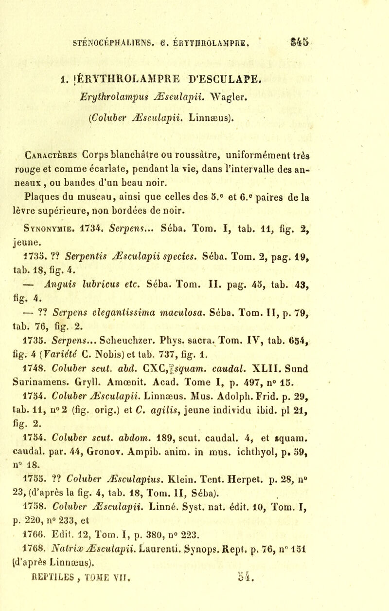 STÉNOCÉPHALIENS. 8. ÉRYTHROLAMPRE. $45 1. [ÉRYTHROLAMPRE D’ESCULAPE. Erythrolampus Æseulapii. Wagler. {Coluber Æseulapii. Linnæus). Caractères Corps blanchâtre ou roussâtre, uniformément très rouge et comme écarlate, pendant la vie, dans l’intervalle des an- neaux , ou bandes d’un beau noir. Plaques du museau, ainsi que celles des 5.® et 6.® paires de la lèvre supérieure, non bordées de noir. Synonymie. 1734. Serpens... Séba. Tom. I, tab. 11, fig. 2, jeune. 1735, ?? Serpentis Æseulapii species. Séba. Tom. 2, pag. 19, tab. 18, fig. 4. — Anguis lubricus etc. Séba. Tom. II. pag. 45, tab. 43, lig. 4. — ?? Serpens elegantissima maculosa. Séba. Tom. II, p. 79, tab. 76, fig. 2. 1735. Serpens... Scheucbzer. Phys, sacra. Tom. IY, tab. 654, fig. 4 ( Variété C. Nobis)et tab. 737, fig. 1. 1748. Coluber scut. abd. CXCfisquam. caudal. XLII. Sund Surinamens. Gryll. Amœnit. Acad. Tome I, p. 497, n° 15. 1754. Coluber Æseulapii. Linnæus. Mus. Adolph. Frid. p. 29, tab. 11, n°2 (fig. orig.) et C. agilis, jeune individu ibid. pl 21, fig. 2. 1754. Coluber scut. abdom. 189, scut. caudal. 4, et squam. caudal, par. 44, Gronov. Ampib. anim. in mus. iehthyol, p. 59, n° 18. 1755. ?? Coluber Æsculapius. Klein. Tent. Herpet. p. 28, n° 23, (d’après la fig. 4, tab. 18, Tom. II, Séba). 1758. Coluber Æseulapii. Linné. Syst. nat. édit. 10, Tom. I, p. 220, n° 233, et 1766. Edit. 12, Tom. I, p. 380, n° 223. 1768. Natrix Æseulapii. Laurenti. Synops. Rept. p. 76, n° 151 (d’après Linnæus). REPTILES , TOME Ylf, 54.
