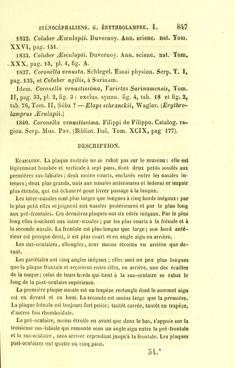 1832. Coluber Æsculapii. Duvernoy. Ânn. scienc, nat. Tom, XXVÎ, pag. 151. 1833. Coluber Æsculapii. Duvernoy. Ànn. scienc. nat. Tom, -XXX, pag. 15, pl. 4,fig. A. 1837. Coronella venusta. Schlegel. Essai physion. Serp. T. I, pag. 133, et Coluber agilis, à Surinam. Idem. Coronella venustissima, Varietas Surinamensisf Tom. II, pag. 33, pl. 2, fig. 3 : exclus, synon. fig. 4, tab. 18 et fig. 2, tab. 76, Tom. II, Séba ? —Elaps schranckii, Wagler. (Erythro- lamprus Æculapii.) 1840. Coronella venustissima. Filippi de Filippo. Catalog. ra- gion. Serp. Mus, Pav. (Bibliot. Ital. Tom. XCIX, pag 177), DESCRIPTION. Ecaillüre. La plaque rostrale ne se rabat pas sur le museau : elle est légèrement bombée et verticale à sept pans, dont deux petits soudés aux premières sus-labiales; deux moins courts, enclavés entre les nasales in- ternes ; deux plus grands, unis aux nasales antérieures et lederni er impair plus étendu, qui est échancré pour livrer passage à la langue. Les inter-nasales sont plus larges que longues à cinq bords inégaux: par le plus petit elles se joignent aux nasales postérieures et par le plus long aux pré-frontales. Ces dernières plaques ont six côtés inégaux. Par le plus long elles touchent aux inter-nasales ; par les plus courts à la frênaie et à la seconde nasale. La frontale est plus longue que large; son bord anté- rieur est presque droit, il est plus court et en angle aigu en arrière. Les sus-oculaires, allongées, sont moins étroites en arrière que de- vant. Les pariétales ont cinq angles inégaux ; elles sont un peu plus longues que la plaque frontale et reçoivent entre elles, en arrière, une des écailles de la nuque; celui de leurs bords qui tient à la sus-oculaire se rabat le long de la post-oculaire supérieure. La première plaque nasale est en trapèze rectangle dont le sommet aigu est en devant et en haut. La seconde est moins large que la première. La plaque frênaie est toujours fort petite; tantôt carrée, tantôt en trapèze, d’autres fois rhomboïdale. La pré-oculaire, moins étroite en avant que dans le bas, s’appuie sur la troisième sus-labiale qui remonte sous un angle aigu entre la pré-frontale et la sus-oculaire , sans arriver cependant jusqu’à la frontale. Les plaques post-oculaires ont quatre ou cinq pans, 34.*