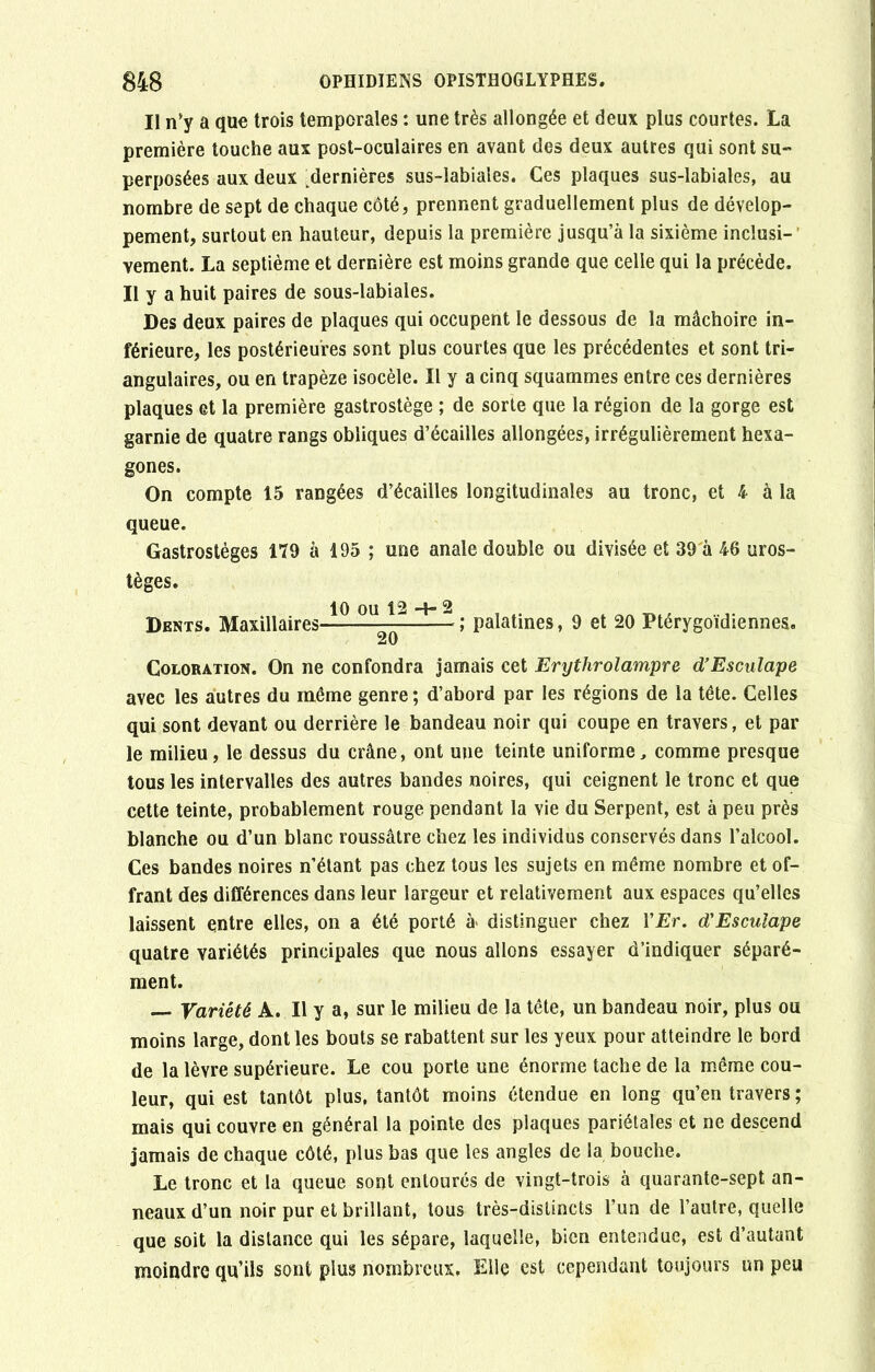 Il n’y a que trois temporales : une très allongée et deux plus courtes. La première touche aux post-oculaires en avant des deux autres qui sont su- perposées aux deux dernières sus-labiales. Ces plaques sus-labiales, au nombre de sept de chaque côté, prennent graduellement plus de dévelop- pement, surtout en hauteur, depuis la première jusqu’à la sixième inclusi- vement. La septième et dernière est moins grande que celle qui la précède. Il y a huit paires de sous-labiales. Des deux paires de plaques qui occupent le dessous de la mâchoire in- férieure, les postérieures sont plus courtes que les précédentes et sont tri- angulaires, ou en trapèze isocèle. Il y a cinq squammes entre ces dernières plaques et la première gastrostège ; de sorte que la région de la gorge est garnie de quatre rangs obliques d’écailles allongées, irrégulièrement hexa- gones. On compte 15 rangées d’écaiiles longitudinales au tronc, et 4 à la queue. Gastrostèges 179 à 195 ; une anale double ou divisée et 39 à 46 uros- tèges. 10 ou 12 4* 2 Dents. Maxillaires , palatines, 9 et 20 Ptérygoïdiennes. 20 Coloration. On ne confondra jamais cet Erythrolampre d’Esculape avec les autres du même genre ; d’abord par les régions de la tête. Celles qui sont devant ou derrière le bandeau noir qui coupe en travers, et par le milieu, le dessus du crâne, ont une teinte uniforme, comme presque tous les intervalles des autres bandes noires, qui ceignent le tronc et que cette teinte, probablement rouge pendant la vie du Serpent, est à peu près blanche ou d’un blanc roussâtre chez les individus conservés dans l’alcool. Ces bandes noires n’étant pas chez tous les sujets en même nombre et of- frant des différences dans leur largeur et relativement aux espaces qu’elles laissent entre elles, on a été porté à> distinguer chez YEr. d'Escuïape quatre variétés principales que nous allons essayer d’indiquer séparé- ment. — Variété A. Il y a, sur le milieu de la tête, un bandeau noir, plus ou moins large, dont les bouts se rabattent sur les yeux pour atteindre le bord de la lèvre supérieure. Le cou porte une énorme tache de la même cou- leur, qui est tantôt plus, tantôt moins étendue en long qu’en travers ; mais qui couvre en général la pointe des plaques pariétales et ne descend jamais de chaque côté, plus bas que les angles de la bouche. Le tronc et la queue sont entourés de vingt-trois à quarante-sept an- neaux d’un noir pur et brillant, tous très-distincts l’un de l’autre, quelle que soit la distance qui les sépare, laquelle, bien entendue, est d’autant moindre qu’ils sont plus nombreux. Elle est cependant toujours un peu