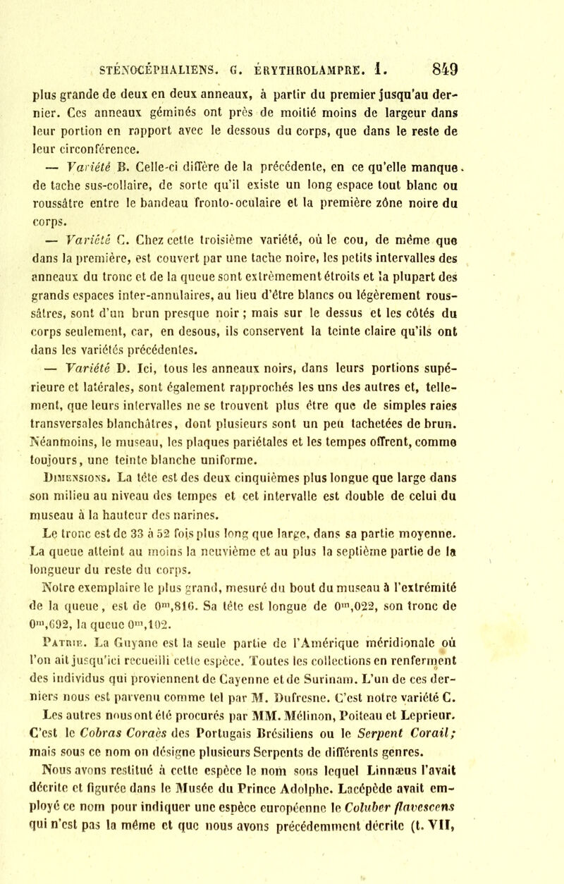 plus grande de deux en deux anneaux, à partir du premier jusqu’au der- nier. Ces anneaux géminés ont près de moitié moins de largeur dans leur portion en rapport avec le dessous du corps, que dans le reste de leur circonférence. — Variété B. Celle-ci diffère de la précédente, en ce qu’elle manque, de tache sus-collaire, de sorte qu’il existe un long espace tout blanc ou roussâtre entre le bandeau fronto-oculaire et la première zône noire du corps. — Variété C. Chez cette troisième variété, où le cou, de même que dans la première, est couvert par une tache noire, les petits intervalles des anneaux du tronc et de la queue sont extrêmement étroits et la plupart des grands espaces inter-annulaires, au lieu d’étre blancs ou légèrement rous- sâtres, sont d’un brun presque noir ; mais sur le dessus et les côtés du corps seulement, car, en desous, ils conservent la teinte claire qu’ils ont dans les variétés précédentes. — Variété D. Ici, tous les anneaux noirs, dans leurs portions supé- rieure et latérales, sont également rapprochés les uns des autres et, telle- ment, que leurs intervalles ne se trouvent plus être que de simples raies transversales blanchâtres, dont plusieurs sont un peu tachetées de brun. Néanmoins, le museau, les plaques pariétales et les tempes offrent, comme toujours, une teinte blanche uniforme. Dimensions. La tête est des deux cinquièmes plus longue que large dans son milieu au niveau des tempes et cet intervalle est double de celui du museau à la hauteur des narines. Le tronc est de 33 à 52 foi.splus long que large, dans sa partie moyenne. La queue atteint au moins la neuvième et au plus la septième partie de la longueur du reste du corps. Notre exemplaire le plus grand, mesuré du bout du museau à l’extrémité de la queue, est de 0ni,81G. Sa tête est longue de 0m,022, son tronc de 0n\692, la queue 0m,lG2. Patrie. La Guyane est la seule partie de l’Amérique méridionale où l’on ait jusqu’ici recueilli cette espèce. Toutes les collections en renferment des individus qui proviennent de Cayenne et de Surinam. L’un de ces der- niers nous est parvenu comme tel par M. Dufresne. C’est notre variété C. Les autres nous ont été procurés par MM. Mélinon, Poiteau et Leprieur. C’est le Cobras Coraès des Portugais Brésiliens ou le Serpent Corail; mais sous ce nom on désigne plusieurs Serpents de différents genres. Nous avons restitué à cette espèce le nom sous lequel Linnæus l’avait décrite et figurée dans le Musée du Prince Adolphe. Lacépède avait em- ployé ce nom pour indiquer une espèce européenne le Coluber flavesccns qui n’est pas la même et que nous avons précédemment décrite (t. VII,