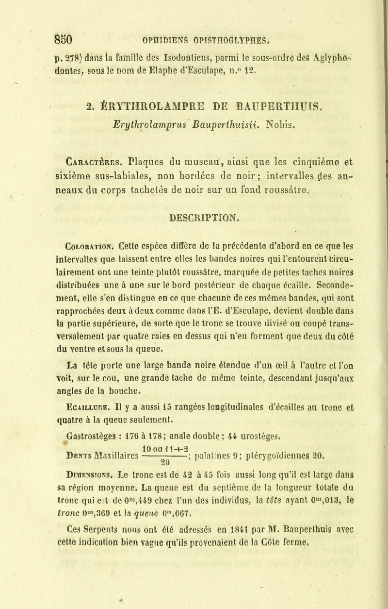 p. 278) dans la famille des Isodontiens, parmi le sous-ordre des Aglyphô» dontes, sous le nom de Elaphe d’Esculape, n.° 12. 2. ÉRYTHROLAMPRE DE BAUPERTHUIS. Erythrolamprus Bauperthuisii. Nobis. Caractères. Plaques du museau , ainsi que les cinquième et sixième sus-labiales, non bordées de noir ; intervalles [les an- neaux du corps tachetés de noir sur un fond roussâtre.- DESCRIPTION, Coloration. Cette espèce diffère de la précédente d’abord en ce que les intervalles que laissent entre elles les bandes noires qui l’entourent Circu- lairement ont une teinte plutôt roussâtre, marquée de petites taches noires distribuées une à une sur le bord postérieur de chaque écaille. Seconde- ment, elle s’en distingue en ce que chacune de ces memes bandes, qui sont rapprochées deux il deux comme dans l’E. d’Esculape, devient double dans îa partie supérieure, de sorte que le tronc se trouve divisé ou coupé trans- versalement par quatre raies en dessus qui n’en forment que deux du côté du ventre et sous la queue. La tête porte une large bande noire étendue d’un œil à l’autre et l’on voit, sur le cou, une grande tache de même teinte, descendant jusqu’aux angles de la bouche. Ecaillure. Il y a aussi 15 rangées longitudinales d’écailles au tronc et quatre à la queue seulement. Gastrostèges : 176 à 178; anale double ; 44 urostèges. 10 ou 11-h2 Dents Maxillaires —~—- ; palatines 9; ptérygoïdiennes 20, Dimensions. Le tronc est de 42 à 45 fois aussi long qu’il est large dans sa région moyenne. La queue est du septième de la longueur totale du tronc qui e t de 0n\449 chez l’un des individus, la tête ayant 0m,Q13, le tronc 0m,369 et la queue 0m,0G7. Ces Serpents nous ont été adressés en 1841 par M. Bauperthuis avec cette indication bien vague qu’ils provenaient de la Côte ferme,