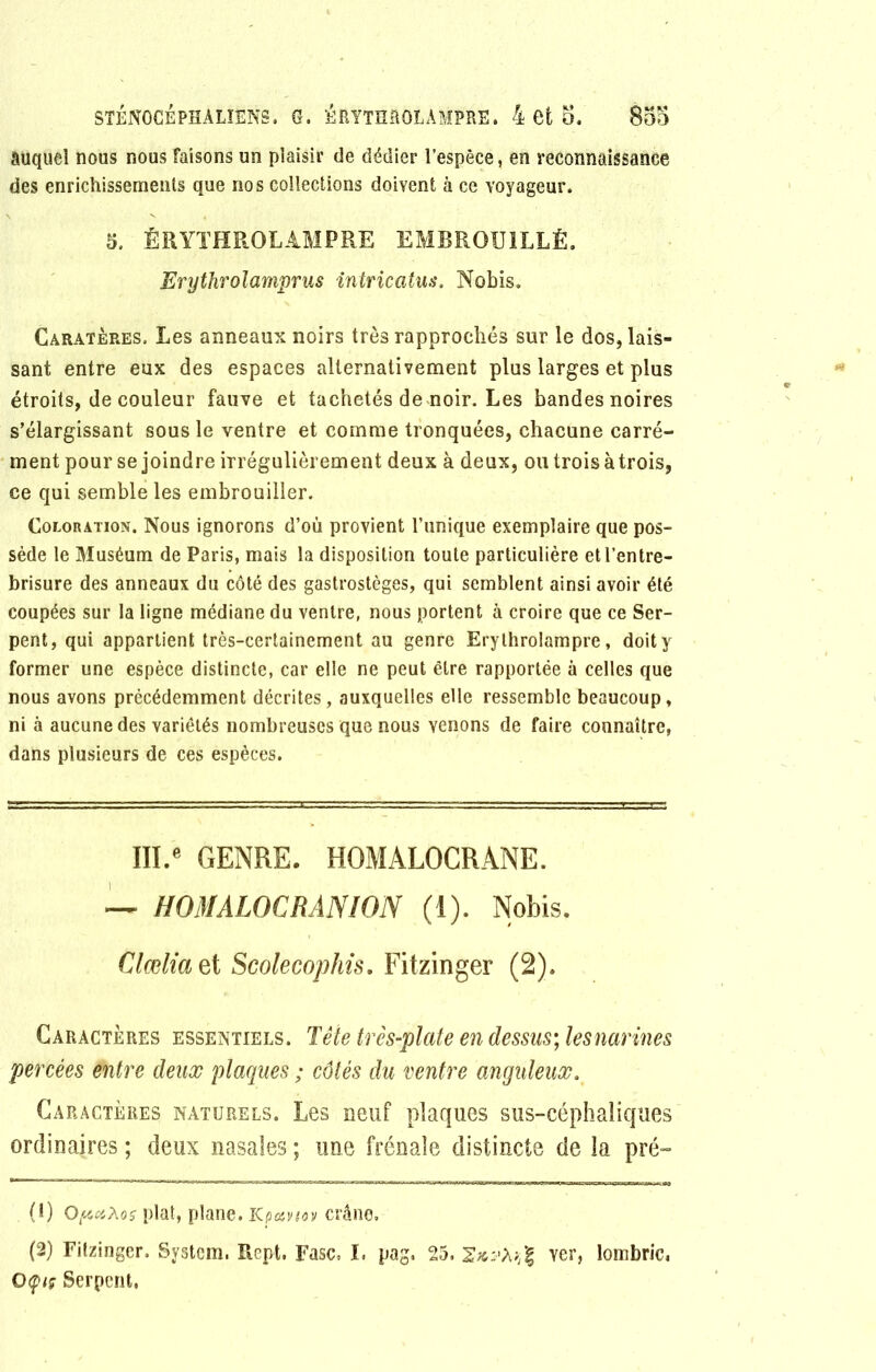 auquel nous nous faisons un plaisir de dédier l’espèce, en reconnaissance des enrichissements que nos collections doivent à ce voyageur. 5. ÉRYTHROLAMPRE EMBROUILLÉ. Erythrolamprus intricatus. Notas. Caràtères, Les anneaux noirs très rapprochés sur le dos, lais- sant entre eux des espaces alternativement plus larges et plus étroits, de couleur fauve et tachetés de noir. Les bandes noires s’élargissant sous le ventre et comme tronquées, chacune carré- ment pour se joindre irrégulièrement deux à deux, ou trois àtrois, ce qui semble les embrouiller. Coloration. Nous ignorons d’où provient l’unique exemplaire que pos- sède le Muséum de Paris, mais la disposition toute particulière etl’entre- brisure des anneaux du côté des gastrostèges, qui semblent ainsi avoir été coupées sur la ligne médiane du ventre, nous portent à croire que ce Ser- pent, qui appartient très-certainement au genre Erylhrolampre, doit y former une espèce distincte, car elle ne peut être rapportée à celles que nous avons précédemment décrites, auxquelles elle ressemble beaucoup, ni à aucune des variétés nombreuses que nous venons de faire connaître, dans plusieurs de ces espèces. III.e GENRE. HOMALOCRANE. — HOMALOCRANÎON (1). Nobis. Clœliaet Scolecophis. Fitzinger (2). Caractères essentiels. Tête très-plate en dessus; lesnarines percées entre deux plaques ; côtés du ventre anguleux. Caractères naturels. Les neuf plaques sus-céphaliques ordinaires ; deux nasales ; une frênaie distincte de la pré- (1) OpaXos plat, plane. Kpanov crâne. (2) Fitzinger. System. Rept. Fasc. I. pag. 25. 2#;^g ver, lombric, Oçts Serpent.