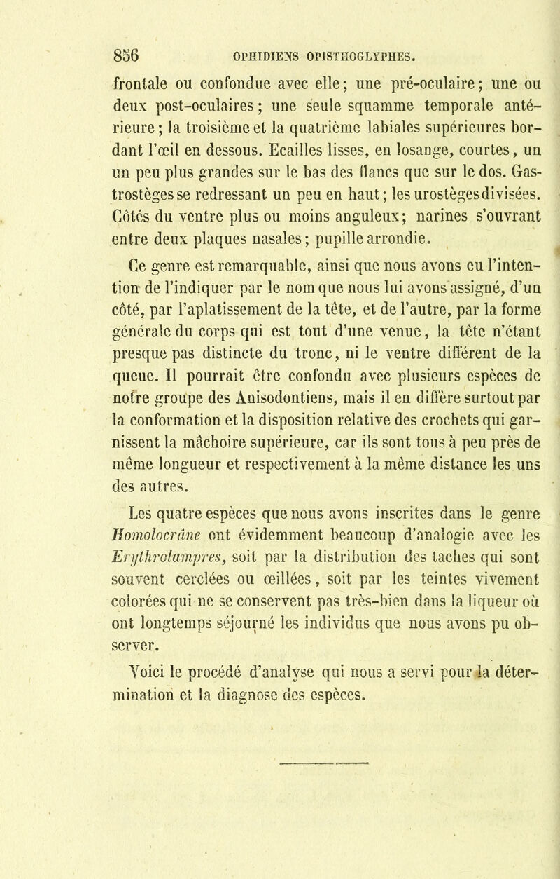 frontale ou confondue avec elle; une pré-oculaire; une ou deux post-oculaires ; une seule squamme temporale anté- rieure ; la troisième et la quatrième labiales supérieures bor- dant l’œil en dessous. Ecailles lisses, en losange, courtes, un un peu plus grandes sur le bas des flancs que sur le dos. Gas- trostègesse redressant un peu en haut; lesurostègesdivisées. Côtés du ventre plus ou moins anguleux; narines s’ouvrant entre deux plaques nasales; pupille arrondie. Ce genre est remarquable, ainsi que nous avons eu l’inten- tiott de l’indiquer par le nom que nous lui avons assigné, d’un côté, par l’aplatissement de la tête, et de l’autre, par la forme générale du corps qui est tout d’une venue, la tête n’étant presque pas distincte du tronc, ni le ventre différent de la queue. Il pourrait être confondu avec plusieurs espèces de notre groupe des Anisodontiens, mais il en diffère surtout par la conformation et la disposition relative des crochets qui gar- nissent la mâchoire supérieure, car ils sont tous à peu près de même longueur et respectivement à la même distance les uns des autres. Les quatre espèces que nous avons inscrites dans le genre Homolocrâne ont évidemment beaucoup d’analogie avec les Erythrolampres, soit par la distribution des taches qui sont souvent cerclées ou œillées, soit par les teintes vivement colorées qui ne se conservent pas très-bien dans la liqueur où ont longtemps séjourné les individus que nous avons pu ob- server. Yoici le procédé d’analyse qui nous a servi pour la déter- mination et la diagnose des espèces.