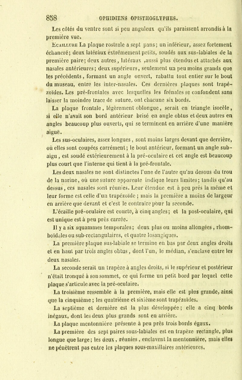 Les côtés du ventre sont si peu anguleux qu’ils paraissent arrondis à la première vue. Ecaillure La plaque rostrale a sept pans; un inférieur, assez fortement échancré; deux latéraux extrêmement petits, soudés aux sus-labiales de la première paire; deux autres, latéraux ,aussi plus étendus et attachés aux nasales antérieures; deux supérieurs, seulement un peu moins grands que les précédents, formant un angle ouvert, rabattu tout entier sur le bout du museau, entre les inter-nasales. Ces dernières plaques sont trapé- zoïdes. Les pré-frontales avec lesquelles les frênaies se confondent sans laisser la moindre trace de suture, ont chacune six bords. La plaque frontale, légèrement oblongue, serait en triangle isocèle, si elle n’avait son bord antérieur brisé en angle obtus et deux autres en angles beaucoup plus ouverts, qui se terminent en arrière d’une manière aiguë. Les sus-oculaires, assez longues, sont moins larges devant que derrière, où elles sont coupées carrément; le bout antérieur, formant un angle sub- aigu , est soudé extérieurement à la pré-oculaire et cet angle est beaucoup plus court que l’interne qui tient à la pré-frontale. Les deux nasales ne sont distinctes l’une de l’autre qu’au desous du trou de la narine, où une suture apparente indique leurs limites; tandis qu’au dessus, ces nasales sont réunies. Leur étendue est à peu près la même et leur forme est celle d’un trapézoïde ; mais la première a moins de largeur en arrière que devant et c’est le contraire pour la seconde. L’écaille pré-oculaire est courte, à cinq angles ; et la post-oculaire, qui est unique est à peu près carrée. Il y a six squammes temporales; deux plus ou moins allongées, rhom- boïdales ou sub-rectangulaires, et quatre îosangiques. La première plaque sus-labiale se termine en bas par deux angles droits et en haut par trois angles obtus, dont l’un, le médian, s’enclave entre les deux nasales. La seconde serait un trapèze à angles droits, si le supérieur et postérieur n’était tronqué à son sommet, ce qui forme un petit bord par lequel cette plaque s’articule avec la pré-oculaire. La troisième ressemble à la première, mais elle est plus grande, ainsi que la cinquième ; les quatrième et sixième sont trapézoïdes. La septième et dernière est la plus développée ; elle a cinq bords inégaux, dont les deux plus grands sont en arrière. La plaque mentonnière présente à peu près trois bords égaux. La première des sept paires sous-labiales est en trapèze rectangle, plus longue que large; les deux, réunies, enclavent la mentonnière, mais elles ne pénètrent pas entre les plaques sous-maxillaires antérieures.