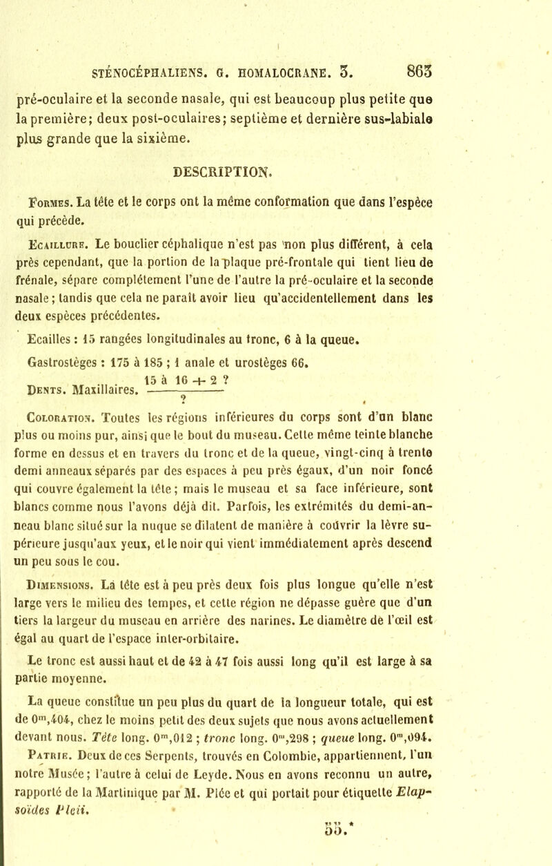pré-oculaire et la seconde nasale, qui est beaucoup plus petite que la première; deux post-oculaires; septième et dernière sus-labiale plus grande que la sixième. DESCRIPTION. Formes. La tête et le corps ont la même conformation que dans l’espèce qui précède. Ecaillürb. Le bouclier céphalique n’est pas 'non plus différent, à cela près cependant, que la portion de la plaque pré-frontale qui tient lieu de frênaie, sépare complètement l’une de l’autre la pré oculaire et la seconde nasale ; tandis que cela ne paraît avoir lieu qu’accidentellement dans les deux espèces précédentes. Ecailles : 15 rangées longitudinales au tronc, 6 à la queue. Gastrostèges : 175 à 185 ; 1 anale et urostèges 66. „ . 15 à 16 -+- 2 ? Dents. Maxillaires. Coloration. Toutes les régions inférieures du corps sont d’un blanc plus ou moins pur, ainsi que le bout du museau. Cette même teinte blanche forme en dessus et en travers du tronc et de la queue, vingt-cinq à trente demi anneaux séparés par des espaces à peu près égaux, d’un noir foncé qui couvre également la tête ; mais le museau et sa face inférieure, sont blancs comme nous l’avons déjà dit. Parfois, les extrémités du demi-an- neau blanc situé sur la nuque se dilatent de manière à couvrir la lèvre su- périeure jusqu’aux yeux, et le noir qui vient immédiatement après descend un peu sous le cou. Dimensions. Là tête est à peu près deux fois plus longue qu'elle n’est large vers le milieu des tempes, et cette région ne dépasse guère que d’un tiers la largeur du museau en arrière des narines. Le diamètre dè l’œil est égal au quart de l’espace inter-orbitaire. Le tronc est aussi haut et de 42 à 47 fois aussi long qu’il est large à sa partie moyenne. La queue constitue un peu plus du quart de ta longueur totale, qui est de 0m,404, chez le moins petit des deux sujets que nous avons actuellement devant nous. Tète long. 0m,012 ; tronc long. O™,298 ; queue long. 0m,094. Patrie. Deux de ces Serpents, trouvés en Colombie, appartiennent, l’un notre Musée; l’autre à celui de Leyde. Nous en avons reconnu un autre, rapporté de la Martinique par M. Piée et qui portait pour étiquette Elap- soïdes Pleii.