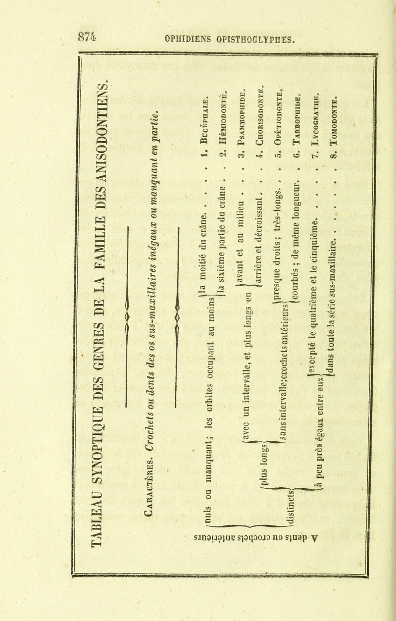 TABLEAU SYNOPTIQUE DES GENRES DE LA FAMILLE DES ANISODONTIENS, sjnauajue sîaqoojo no sjuop y à peu près égaux entre eJ^ 'C qUatrième el le cinquième 7- (dans toute îa série sus-maxillaire 8. Tomodonte.