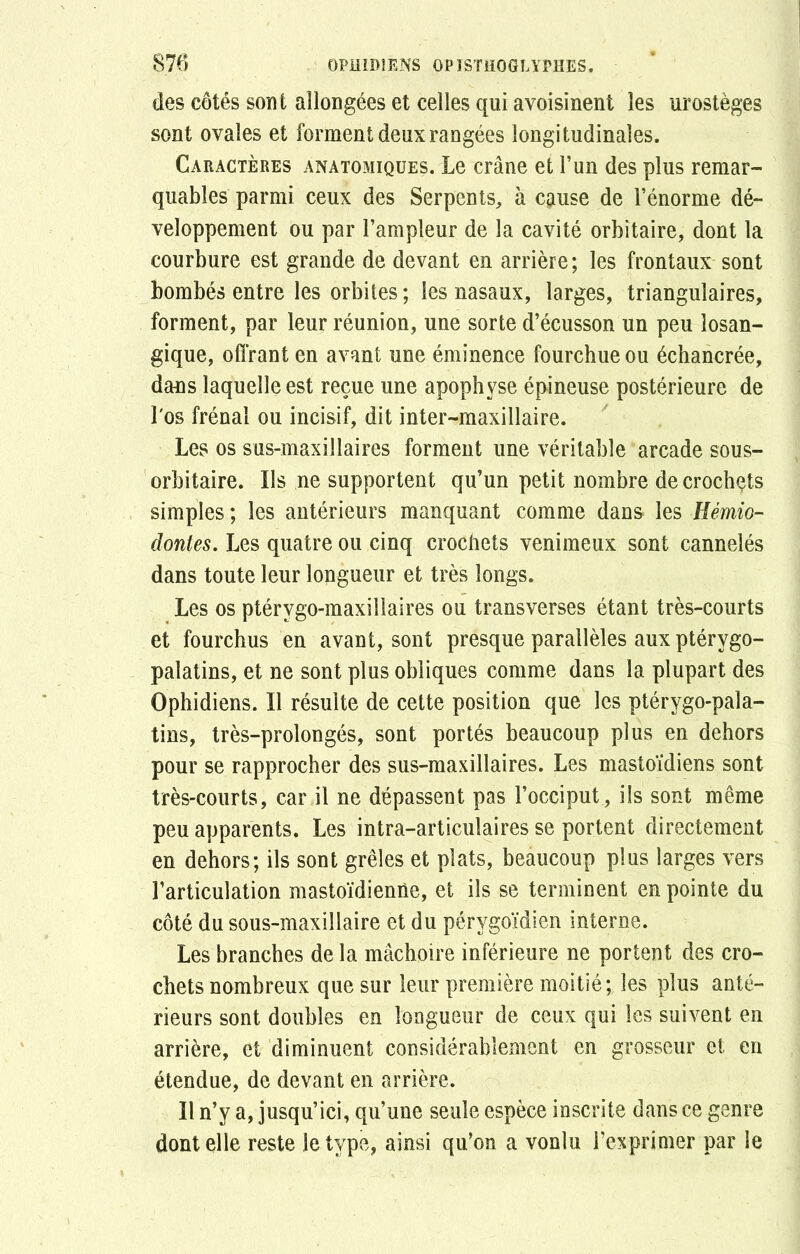 des côtés sont allongées et celles qui avoisinent les urostèges sont ovales et forment deux rangées longitudinales. Caractères anatomiques. Le crâne et l’un des plus remar- quables parmi ceux des Serpents, à cause de l’énorme dé- veloppement ou par l’ampleur de la cavité orbitaire, dont la courbure est grande de devant en arrière; les frontaux sont bombés entre les orbites ; les nasaux, larges, triangulaires, forment, par leur réunion, une sorte d’écusson un peu losan- gique, offrant en avant une éminence fourchue ou échancrée, dans laquelle est reçue une apophyse épineuse postérieure de Los frénal ou incisif, dit inter-maxillaire. Les os sus-maxillaires forment une véritable arcade sous- orbitaire. Ils ne supportent qu’un petit nombre de crochçts simples; les antérieurs manquant comme dans les Hémio- doutes. Les quatre ou cinq crochets venimeux sont cannelés dans toute leur longueur et très longs. Les os ptérvgo-maxillaires ou transverses étant très-courts et fourchus en avant, sont presque parallèles aux ptérygo- palatins, et ne sont plus obliques comme dans 1a. plupart des Ophidiens. Il résulte de cette position que les ptérygo-paîa- tins, très-prolongés, sont portés beaucoup plus en dehors pour se rapprocher des sus-maxillaires. Les mastoïdiens sont très-courts, car il ne dépassent pas l’occiput, ils sont même peu apparents. Les intra-articulaires se portent directement en dehors; ils sont grêles et plats, beaucoup plus larges vers l’articulation mastoïdienne, et ils se terminent en pointe du côté du sous-maxillaire et du pérygoïdien interne. Les branches de la mâchoire inférieure ne portent des cro- chets nombreux que sur leur première moitié; les plus anté- rieurs sont doubles en longueur de ceux qui les suivent en arrière, et diminuent considérablement en grosseur et en étendue, de devant en arrière. Il n’y a, jusqu’ici, qu’une seule espèce inscrite dans ce genre dont elle reste le type, ainsi qu’on a vonlu l’exprimer par le