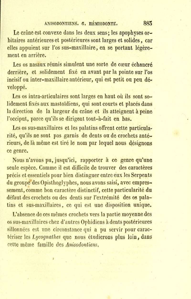 ÂNÏS0D0NT1EN3. G, HÉMÏODONTE. 880 Le crâne est convexe dans les deux sens ; les apophyses or- bitaires antérieures et postérieures sont larges et solides, car elles appuient sur l’os sus-maxillaire, en se portant légère- ment en arrière. Les os nasaux réunis simulent une sorte de cœur échancré derrière, et solidement fixé en avant par la pointe sur l’os incisif ou inter-maxillaire antérieur, qui est petit ou peu dé- veloppé. Les os intra-articulaires sont larges en haut où ils sont so- lidement fixés aux mastoïdiens, qui sont courts et placés dans la direction de la largeur du crâne et ils atteignent à peine l’occiput, parce qu’ils se dirigent tout-à-fait en bas. Les os sus-maxillaires et les palatins offrent cette particula- rité, qu’ils ne sont pas garnis de dents ou de crochets anté- rieurs, de là même est tiré le nom par lequel nous désignons ce genre. Nous n’avons pu, jusqu’ici, rapporter à ce genre qu’une seule espèce. Comme il est difficile de trouver des caractères précis et essentiels pour bien distinguer entre eux les Serpents du groupe des Opisthoglyphes, nous avons saisi, avec empres- sement, comme bon caractère distinctif, cette particularité du défaut des crochets ou des dents sur l’extrémité des os pala- tins et sus-maxillaires, ce qui est une disposition unique. L’absence de ces mêmes crochets vers la partie moyenne des os sus-maxillaires chez d’autres Ophidiens à dents postérieures sillonnées est une circonstance qui a pu servir pour carac- tériser les Lijcognathes que nous étudierons plus loin, dans cette même famille des Anmdontiens, i