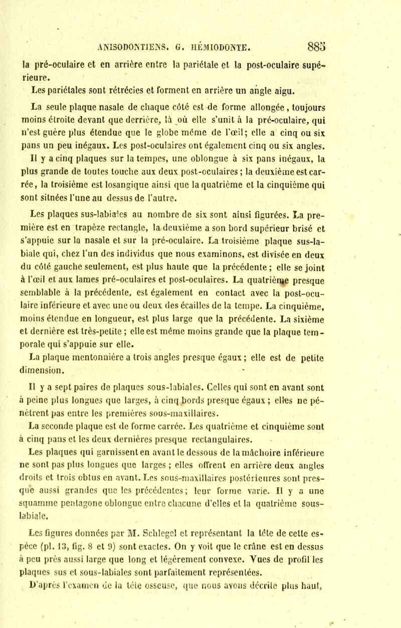 la pré-oculaire et en arrière entre la pariétale et la post-oculaire supé- rieure. Les pariétales sont rétrécies et forment en arrière un angle aigu. La seule plaque nasale de chaque côté est de forme allongée, toujours moins étroite devant que derrière, là où elle s’unit à la pré-oculaire, qui n’est guère plus étendue que le globe même de l’oeil; elle a cinq ou six pans un peu inégaux. Les post-oculaires ont également cinq ou six angles. Il y a cinq plaques sur la tempes, une oblongue à six pans inégaux, la plus grande de toutes touche aux deux post-oculaires ; la deuxième est car- rée, la troisième est losangique ainsi que la quatrième et la cinquième qui sont situées l’une au dessus de l’autre. Les plaques sus-labiales au nombre de six sont ainsi figurées. La pre- mière est en trapèze rectangle, la deuxième a son bord supérieur brisé et s’appuie sur la nasale et sur la pré-oculaire. La troisième plaque sus-la- biale qui, chez l’un des individus que nous examinons, est divisée en deux du côté gauche seulement, est plus haute que la précédente ; elle se joint à l’oeil et aux lames pré-oculaires et post-oculaires. La quatrième presque semblable à la précédente, est également en contact avec la post-ocu- laire inférieure et avec une ou deux des écailles de la tempe. La cinquième, moins étendue en longueur, est plus large que la précédente. La sixième et dernière est très-petite ; elle est même moins grande que la plaque tem- porale qui s’appuie sur elle. La plaque mentonnière a trois angles presque égaux ; elle est de petite dimension. Il y a sept paires do plaques sous-labiales. Celles qui sont en avant sont à peine plus longues que larges, à cinq bords presque égaux ; elles ne pé- nètrent pas entre les premières sous-maxillaires. La seconde plaque est de forme carrée. Les quatrième et cinquième sont à cinq pans et les deux dernières presque rectangulaires. Les plaques qui garnissent en avant le dessous de la mâchoire inférieure ne sont pas plus longues que larges ; elles offrent en arrière deux angles droits et trois obtus en avant. Les sous-maxillaires postérieures sont pres- que aussi grandes que les précédentes; leur forme varie. Il y a une squamine pentagone oblongue entre chacune d’elles et la quatrième sous- labiale. Les figures données par M. Schlegel et représentant la télé de cette es- pèce (pl. 13, fig. 8 et 9) sont exactes. On y voit que le crâne est en dessus à peu près aussi large que long et légèrement convexe. Vues de profil les plaques sus et sous-labiales sont parfaitement représentées. D’après l’examen de la tête osseuse, que nous ayons décrite plus haut,