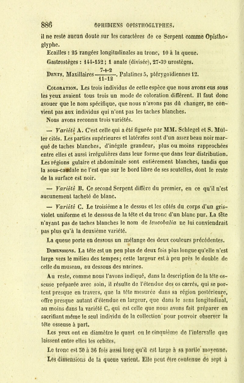 il ne reste aucun doute sur les caractères de ce Serpent comme Opistho* glyphe. Ecailles : 25 rangées longitudinales au tronc, 10 à la queue, Gastrostèges : 144*152; 1 anale (divisée), 27-39 urostèges. 7—H2 Dents, Maxillaires»—. Palatines5, ptérygoïdiennes 12. 11-12 Coloration. Les trois individus de eette espèce que nous avons eus sous les yeux avaient tous trois un mode de coloration différent. Il faut donc avouer que le nom spécifique, que nous n’avons pas dû changer, ne con- vient pas aux individus qui n’ont pas les taches blanches. Nous avons reconnu trois variétés. — Variété A. C’est celle qui a été figurée par MM. Schlegel et S. Mill- ier cités. Les parties supérieures et latérales sont d’un assez beau noir mar- qué de taches blanches, d’inégale grandeur, plus ou moins rapprochées entre elles et aussi irrégulières dans leur forme que dans leur distribution. Les régions gulaire et abdominale sont entièrement blanches, tandis que la sous-caudale ne l’est que sur le bord libre de ses scutelles, dont le reste de la surface est noir. — Variété B. Ce second Serpent diffère du premier, en ce qu’il n’est aucunement tacheté de blanc. — Variété C. Le troisième a le dessus et les côtés du corps d’un gris- violet uniforme et le dessous de la tête et du tronc d’un blanc pur. La tête n’ayant pas de taches blanches le nom de leucobalia ne lui conviendrait pas plus qu’à la deuxième variété. La queue porte en dessous un mélange des deux couleurs précédentes. Dimensions. La tête est un peu plus de deux fois plus longue qu’elle n’est large vers le milieu des tempes; cette largeur est à peu près le double de celle du museau, au dessous des narines. Au reste, comme nous l’avons indiqué, dans la description de la tête os- seuse préparée avec soin, il résulte de l’étendue des os carrés, qui se por- tent presque en travers, que la tête mesurée dans sa région postérieure, offre presque autant d’étendue en largeur, que dans le sens longitudinal, au moins dans la variété C, qui est celle que nous avons fait préparer en sacrifiant même le seul individu de la collection pour pouvoir observer la tête osseuse à part. Les yeux ont en diamètre le quart ou le cinquième de !’interva!îe que laissent entre elles les orbites, Le tronc est 50 h 36 fols aussi long qu’il est large à sa partie' moyenne. Les dimensions de la queue varient, Elle peut être contenue de sept à