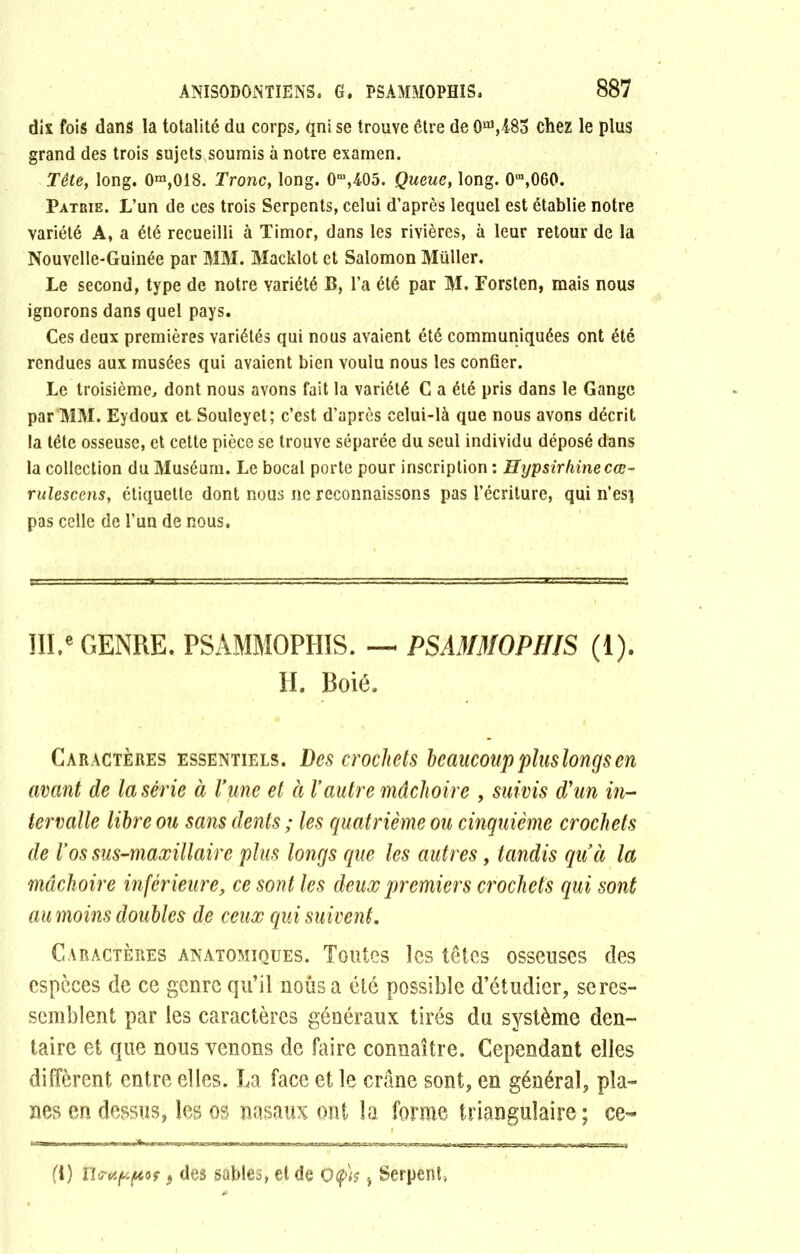 dis fois dans la totalité du corps, qni se trouve être de 0^,485 chez le plus grand des trois sujets soumis à notre examen. Tête, long. 0m,018. Tronc, long. 0m,405. Queue, long. 0m,060. Patrie. L’un de ces trois Serpents, celui d’après lequel est établie notre variété A, a été recueilli à Timor, dans les rivières, à leur retour de la Nouvelle-Guinée par MM. Macklot et Salomon Müller. Le second, type de notre variété B, l’a été par M. Forsten, mais nous ignorons dans quel pays. Ces deux premières variétés qui nous avaient été communiquées ont été rendues aux musées qui avaient bien voulu nous les confier. Le troisième, dont nous avons fait la variété C a été pris dans le Gange par MM. Eydoux et Souleyet; c’est d’après celui-là que nous avons décrit la tête osseuse, et cette pièce se trouve séparée du seul individu déposé dans la collection du Muséum. Le bocal porte pour inscription : Hypsirhinecœ- rulesccns, étiquette dont nous ne reconnaissons pas l’écriture, qui n’esi pas celle de l’un de nous. ÎII.e GENRE. PSAMMOPHIS. — PSAMMOPHIS (1). H. Boié. Caractères essentiels. Des crochets beaucouppluslongsen avant de la série à l’une et à l’autre mâchoire , suivis d'un in- tervalle libre ou sans dents ; les quatrième ou cinquième crochets de l’os sus-maxillaire plus longs que les autres, tandis quà la mâchoire inférieure, ce sont les deux premiers crochets qui sont au moins doubles de ceux qui suivent. Caractères anatomiques. Toutes les têtes osseuses des especes de ce genre qu’il nous a été possible d’étudier, se res- semblent par les caractères généraux tirés du système den- taire et que nous venons de faire connaître. Cependant elles diffèrent entre elles. La face et le crâne sont, en général, pla- nes en dessus, les os nasaux ont la forme triangulaire ; ce- fi) ïiruppoç i des sables, et de ofa -y Serpent,