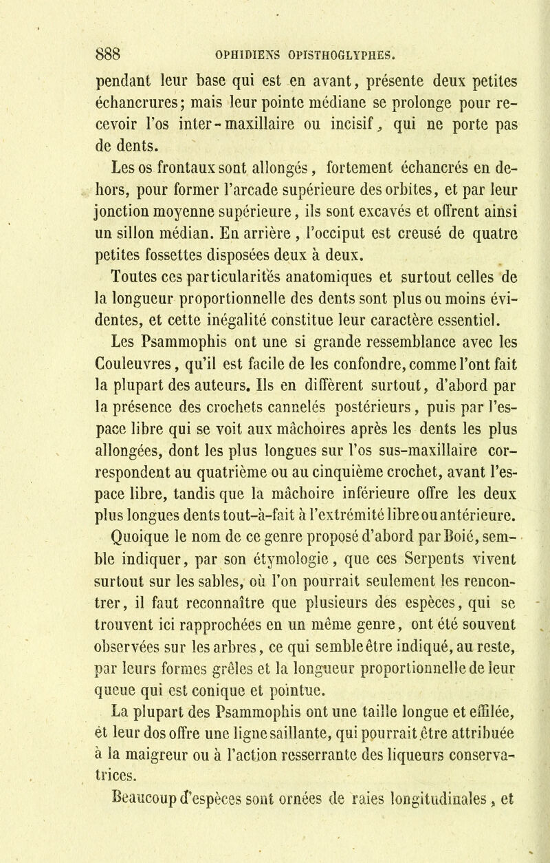 pendant leur base qui est en avant, présente deux petites échancrures ; mais leur pointe médiane se prolonge pour re- cevoir l’os inter-maxillaire ou incisif ^ qui ne porte pas de dents. Les os frontaux sont allongés, fortement échancrés en de- hors, pour former l’arcade supérieure des orbites, et par leur jonction moyenne supérieure, iis sont excavés et offrent ainsi un sillon médian. En arrière, l’occiput est creusé de quatre petites fossettes disposées deux à deux. Toutes ces particularités anatomiques et surtout celles de la longueur proportionnelle des dents sont plus ou moins évi- dentes, et cette inégalité constitue leur caractère essentiel. Les Psammophis ont une si grande ressemblance avec les Couleuvres, qu’il est facile de les confondre, comme l’ont fait la plupart des auteurs. Ils en diffèrent surtout, d’abord par la présence des crochets cannelés postérieurs, puis par l’es- pace libre qui se voit aux mâchoires après les dents les plus allongées, dont les plus longues sur l’os sus-maxillaire cor- respondent au quatrième ou au cinquième crochet, avant l’es- pace libre, tandis que la mâchoire inférieure offre les deux plus longues dents tout-à-fait à l’extrémité libre ou antérieure. Quoique le nom de ce genre proposé d’abord parBoié, sem- ble indiquer, par son étymologie, que ces Serpents vivent surtout sur les sables, où l’on pourrait seulement les rencon- trer, il faut reconnaître que plusieurs des espèces, qui se trouvent ici rapprochées en un même genre, ont été souvent observées sur les arbres, ce qui semble être indiqué, au reste, par leurs formes grêles et la longueur proportionnelle de leur queue qui est conique et pointue. La plupart des Psammophis ont une taille longue et effilée, ét leur dos offre une ligne saillante, qui pourrait .être attribuée à la maigreur ou à l’action resserrante des liqueurs conserva- trices. Beaucoup d’espèces sont ornées de raies longitudinales, et