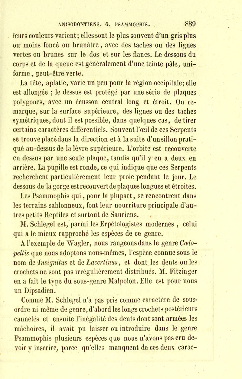 leurs couleurs varient ; elles sont le plus souvent d’un gris plus ou moins foncé ou brunâtre, avec des taches ou des lignes vertes ou brunes sur le dos et sur les flancs. Le dessous du corps et de la queue est généralement d’une teinte pâle, uni- forme , peut-être verte. La tête, aplatie, varie un peu pour la région occipitale; elle est allongée ; le dessus est protégé par une série de plaques polygones, avec un écusson central long et étroit. On re- marque, sur la surface supérieure, des lignes ou des taches symétriques, dont il est possible, dans quelques cas, de tirer certains caractères différentiels. Souvent l’œil de ces Serpents se trouve placé dans la direction et à la suite d’un sillon prati- qué au-dessus de la lèvre supérieure. L’orbite est recouverte en dessus par une seule plaque, tandis qu’il y en a deux en arrière. La pupille est ronde, ce qui indique que ces Serpents recherchent particulièrement leur proie pendant le jour. Le dessous de la gorge est recouvert de plaques longues et étroites. Les Psammophis qui, pour la plupart, se rencontrent dans les terrains sablonneux, font leur nourriture principale d’au- tres petits Reptiles et surtout de Sauriens. M. Schlegel est, parmi les Erpétologistes modernes , celui qui a le mieux rapproché les espèces de ce genre. À l’exemple de Wagler, nous rangeons dans le genre Cœlo- peltis que nous adoptons nous-mêmes, l’espèce connue sous le nom de Insignitus et de Lacerlinus, et dont les dents ou les crochets ne sont pas irrégulièrement distribués. M. Fitzinger en a fait le type du sous-genre Maîpolon. Elle est pour nous un Dipsadien. Comme M. Schlegel n’a pas pris comme caractère de sous- ordre ni même de genre, d’abord les longs crochets postérieurs cannelés et ensuite l’inégalité des dents dont sont armées les mâchoires, il avait pu laisser ou introduire dans le genre Psammophis plusieurs espèces que nous n’avons pas cru de- voir y inscrire, parce qu’elles manquent de ces deux carac-