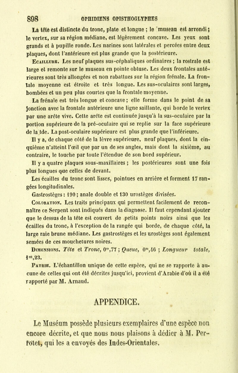 La tête est distincte du tronc, plate et longue ; le museau est arrondi ; le vertex, sur sa région médiane, est légèrement concave. Les yeux sont grands et à pupille ronde. Les narines sont latérales et percées entre deux plaques, dont l’antérieure est plus grande que la postérieure. Ecaillurb. Les neuf plaques sus-céphaliques ordinaires ; la rostrale est large et remonte sur le museau en pointe obtuse. Les deux frontales anté- rieures sont très allongées et non rabattues sur la région frênaie. La fron- tale moyenne est étroite et très longue. Les sus-oculaires sont larges, bombées et un peu plus courtes que la frontale moyenne. La frênaie est très longue et concave ; elle forme dans le point de sa jonction avec la frontale antérieure une ligne saillante, qui borde le vertex par une arête vive. Cette arête est continuée jusqu’à la sus-oculaire par la portion supérieure de la pré-oculaire qui se replie sur la face supérieure de la tde. La post-oculaire supérieure est plus grande que l’inférieure. Il y a, de chaque côté de la lèvre supérieure, neuf plaques, dont la cin- quième n’atteint l’oeil que par un de ses angles, mais dont la sixième, au contraire, le touche par toute l’étendue de son bord supérieur. Il y a quatre plaques sous-maxillaires ; les postérieures sont une fois plus longues que celles de devant. Les écailles du tronc sont lisses, pointues en arrière et forment 17 ran- gées longitudinales. Gastrostèges : 190; anale double et 130 urostèges divisées. Coloration. Les traits principaux qui permettent facilement de recon- naître ce Serpent sont indiqués dans la diagnose. Il faut cependant ajouter que le dessus de la tête est couvert de petits points noirs ainsi que les écailles du tronc, à l’exception de la rangée qui borde, de chaque côté, la large raie brune médiane. Les gastrostèges et les urostèges sont également semées de ces mouchetures noires. Dimensions. Tête et Tronc, 0m,77 ; Queue, 0m,46 ; Longueur totale, lra,23. Patrie. L’échantillon unique de cette espèce, qui ne se rapporte à au- cune de celles qui ont été décrites jusqu’ici, provient d’Arabie d’où il a été rapporté par M. Arnaud. APPENDICE, Le Muséum possède plusieurs exemplaires d’une espèce non encore décrite, et que nous nous plaisons à dédier à M. Per- Met, qui les a envoyés des Indes-Orientales.