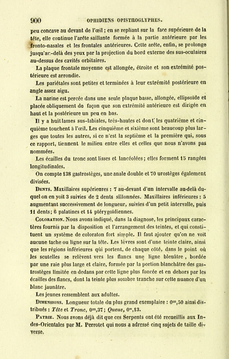 peu concave au devant de l’œil ; en se repliant sur la face supérieure de la tête, elle continue l’arête saillante formée à la partie antérieure par les fronto-nasales et les frontales antérieures. Cette arête, enfin, se prolonge jusqu’au-delà des yeux par la projection du bord externe des sus-oculaires au-dessus des cavités orbitaires. La plaque frontale moyenne est allongée, étroite et son extrémité pos- térieure est arrondie. Les pariétales sont petites et terminées à leur extrémité postérieure en angle assez aigu. La narine est percée dans une seule plaque basse, allongée, ellipsoïde et placée obliquement de façon que son extrémité antérieure est dirigée en haut et la postérieure un peu en bas. Il y a huit lames sus-labiales, très-hautes et dont'les quatrième et cin- quième touchent à l’œil. Les cinquième et sixième sont beaucoup plus lar- ges que toutes les autres, si ce n’est la septième et la première qui, sous ce rapport, tiennent le milieu entre elles et celles que nous n’avons pas nommées. Les écailles du tronc sont lisses et lancéolées; elles forment 15 rangées longitudinales» On compte 138 gastrostèges, une anale double et 70 urostèges également divisées. Dents. Maxillaires supérieures : 7 au-devant d’un intervalle au-delà du- quel on en yoit 3 suivies de 2 dents sillonnées. Maxillaires inférieures : 5 augmentant successivement de longueur, suivies d’un petit intervalle, puis 11 dents; 6 palatines et 14 plérygoïdiennes. Coloration. Nous avons indiqué, dans la diagnose, les principaux carac- tères fournis par la disposition et l’arrangement des teintes, et qui consti- tuent un système de coloraton fort simple. Il faut ajouter qu’on ne voit aucune tache ou ligne sur la tête. Les lèvres sont d’une teinte claire, ainsi que les régions inférieures qui portent, de chaque côté, dans le point où les scutelles se relèvent vers les flancs une ligne bleuâtre , bordée par une raie plus large et claire, formée par la portion blanchâtre des gas- trostèges limitée en dedans par cette ligne plus foncée et en dehors par les écailles des flancs, dont la teinte plus sombre tranche sur cette nuance d’un blanc jaunâtre. Les jeunes ressemblent aux adultes. Dimensions. Longueur totale du plus grand exemplaire : 0m,50 ainsi dis- tribués : Tête et Tronc, 0m,37 ; Queue, 0m,13. Patrie. Nous avons déjà dit que ces Serpents ont été recueillis aux In- des-Orientales par M. Perrotet qui nous a adressé cinq sujets de taille db verse,