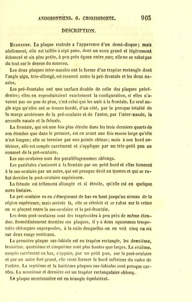 DESCRIPTION, Ecaillure. La plaque rostrale a l’apparence d’un demi-disque; mais réellement, elle est taillée à sept pans, dont un assez grand et légèrement échancré et six plus petits, à peu près égaux entre eux; elle ne se rabat pas du tout sur le dessus du museau. Les deux plaques inter-nasales ont la forme d’un trapèze rectangle dont l’angle aigu, très-allongé, est resserré entre la pré-frontale et les deux na- sales. Les pré-frontales ont une surface double de celle des plaques précé- dentes; elles en reproduiraient exactement la configuration, si elles n’a- vaient pas un pan de plus, c’est celui qui les unit à la frontale. Le seul an- gle aigu qu’elles ont se trouve bordé, d’un côté, par la presque totalité de la marge antérieure de la pré-oculaire et de l’autre, par l’inter-nasale, la seconde nasale et la frênaie. La frontale, qui est une fois plus étroite dans les trois derniers quarts de son étendue que dans le premier, est en avant une fois moins large qu’elle n’est longue; elle se termine par une pointe obtuse; mais à son bord an- térieur, elle est coupée carrément et s’applique par un très-petit pan au sommet de la pré-oculaire. Les sus-oculaires sont des parallélogrammes oblongs. Les pariétales s’unissent à la frontale par un petit bord et elles tiennent à la sus-oculaire par un autre, qui est presque droit en travers et qui se ra- bat derrière la post-oculaire supérieure. La frênaie est tellement allongée et si étroite, qu’elle est en quelque sorte linéaire. La pré-oculaire va en s’élargissant de bas en haut jusqu’au niveau de la région supérieure, mais arrivée là, elle se rétrécit et se rabat sur le crâne en se plaçant entre la sus-oculaire et la pré-frontâle. Les deux post-oculaires sont des trapézoïdes à peu près de même éten- due. Immédiatement derrière ces plaques, if y a deux squammes tempo- rales oblongues superposées, à la suite desquelles on en voit cinq ou six sur deux rangs verticaux. La première plaque sus-labiale est en trapèze rectangle, les deuxième, troisième, quatrième et cinquième sont plus hautes que-larges. La sixième, coupée carrément en bas, s’appuie, par un petit pan, sur la post-oculaire et par un autre fort grand, elle vient former le bord inférieur du cadre de l’orbite. La septième et la huitième plaques sus-labiales sont presque car- rées. La neuvième et dernière est un trapèze rectangulaire oblong, La plaque mentonnière est en triangle équilatéral.
