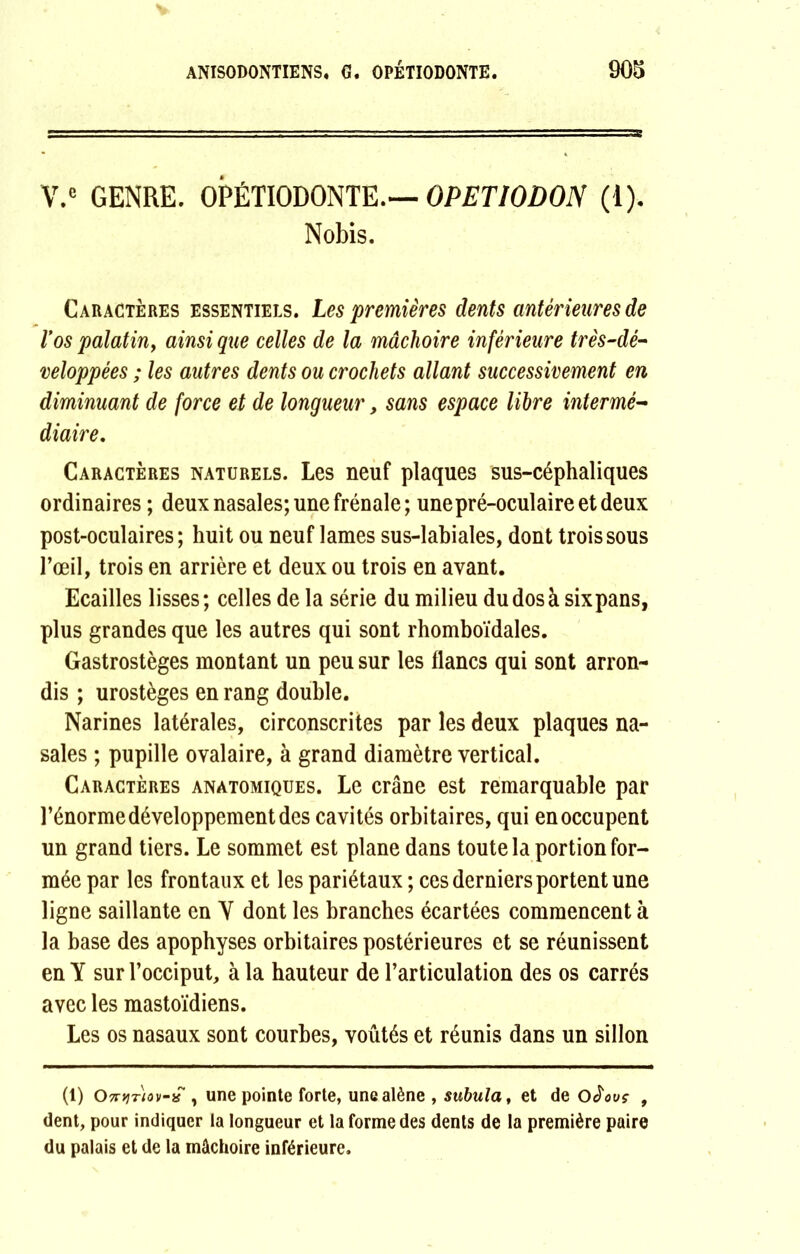 V.e GENRE. OPÉTIODONTE.— OPETIODON (1). Nobis. Caractères essentiels. Les premières dents antérieures de Vos palatin, ainsi que celles de la mâchoire inférieure très-dé- veloppées ; les autres dents ou crochets allant successivement en diminuant de force et de longueur, sans espace libre intermé- diaire. Caractères naturels. Les neuf plaques sus-céphaliques ordinaires; deux nasales; une frênaie; unepré-oculaireetdeux post-oculaires; huit ou neuf lames sus-labiales, dont trois sous l’œil, trois en arrière et deux ou trois en avant. Ecailles lisses; celles de la série du milieu du dos à six pans, plus grandes que les autres qui sont rhomboïdales. Gastrostèges montant un peu sur les flancs qui sont arron- dis ; urostèges en rang double. Narines latérales, circonscrites par les deux plaques na- sales ; pupille ovalaire, à grand diamètre vertical. Caractères anatomiques. Le crâne est remarquable par l’énorme développement des cavités orbitaires, qui en occupent un grand tiers. Le sommet est plane dans toute la portion for- mée par les frontaux et les pariétaux ; ces derniers portent une ligne saillante en Y dont les branches écartées commencent à la base des apophyses orbitaires postérieures et se réunissent en Y sur l’occiput, à la hauteur de l’articulation des os carrés avec les mastoïdiens. Les os nasaux sont courbes, voûtés et réunis dans un sillon (1) OntiTiov-x , une pointe forte, une alêne , subula, et de oJW , dent, pour indiquer la longueur et la forme des dents de la première paire du palais et de la mâchoire inférieure.
