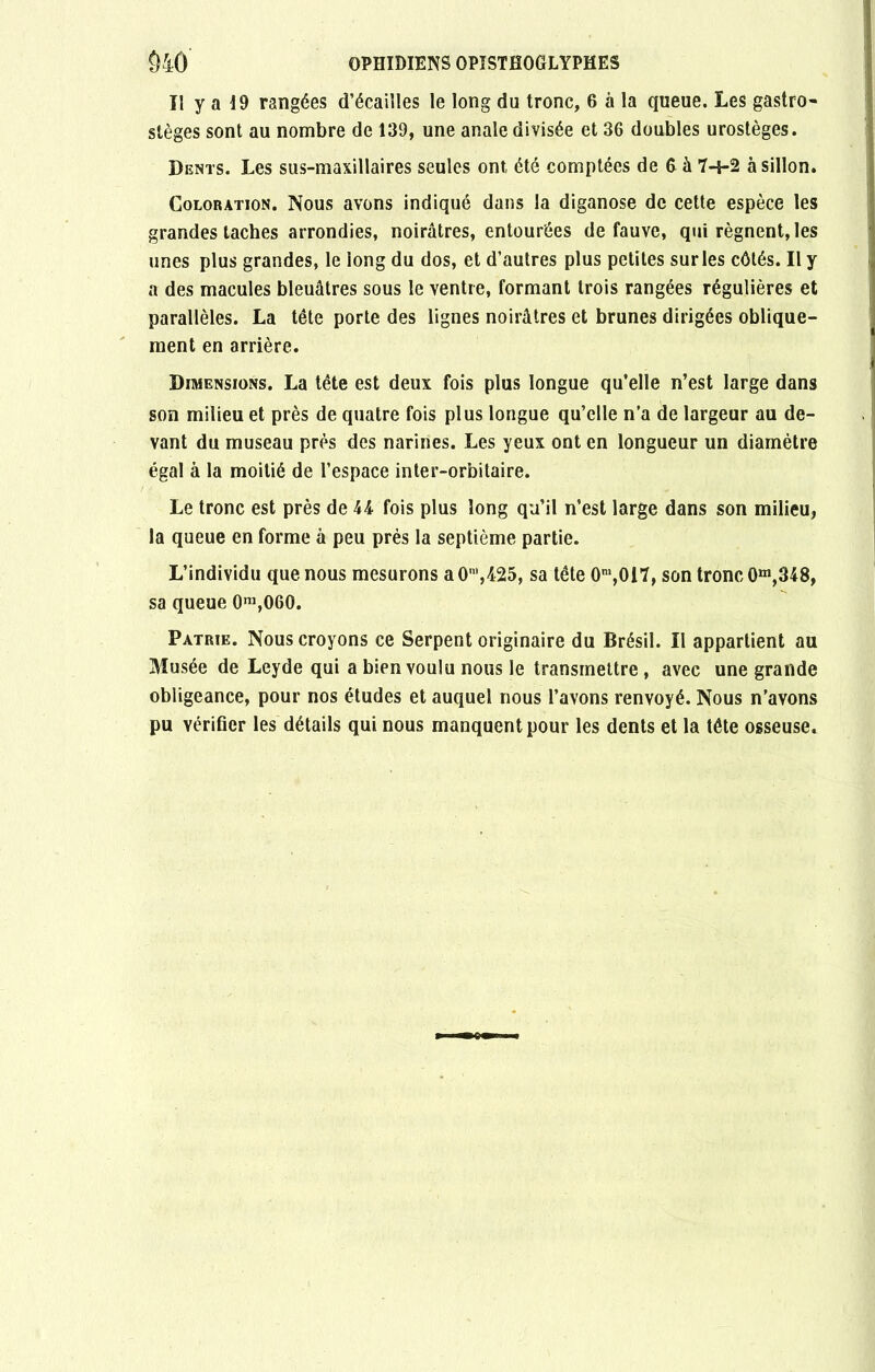 Ï1 y a 19 rangées d’écailles le long du tronc, 6 à la queue. Les gastro- stèges sont au nombre de 139, une anale divisée et 36 doubles urostèges. Dents. Les sus-maxillaires seules ont été comptées de 6 à 7-Î-2 à sillon. Coloration. Nous avons indiqué dans la diganose de cette espèce les grandes taches arrondies, noirâtres, entourées de fauve, qui régnent, les unes plus grandes, le long du dos, et d’autres plus petites sur les côtés. Il y a des macules bleuâtres sous le ventre, formant trois rangées régulières et parallèles. La tête porte des lignes noirâtres et brunes dirigées oblique- ment en arrière. Dimensions. La tête est deux fois plus longue qu’elle n’est large dans son milieu et près de quatre fois plus longue qu’elle n’a de largeur au de- vant du museau près des narines. Les yeux ont en longueur un diamètre égal à la moitié de l’espace inter-orbitaire. Le tronc est près de 44 fois plus long qu’il n’est large dans son milieu, la queue en forme à peu prés la septième partie. L’individu que nous mesurons a 0n’,425, sa tête 0m,0i7, son tronc 0m,348, sa queue 0m,060. Patrie. Nous croyons ce Serpent originaire du Brésil. Il appartient au Musée de Leyde qui a bien voulu nous le transmettre, avec une grande obligeance, pour nos études et auquel nous l’avons renvoyé. Nous n’avons pu vérifier les détails qui nous manquent pour les dents et la tête osseuse.