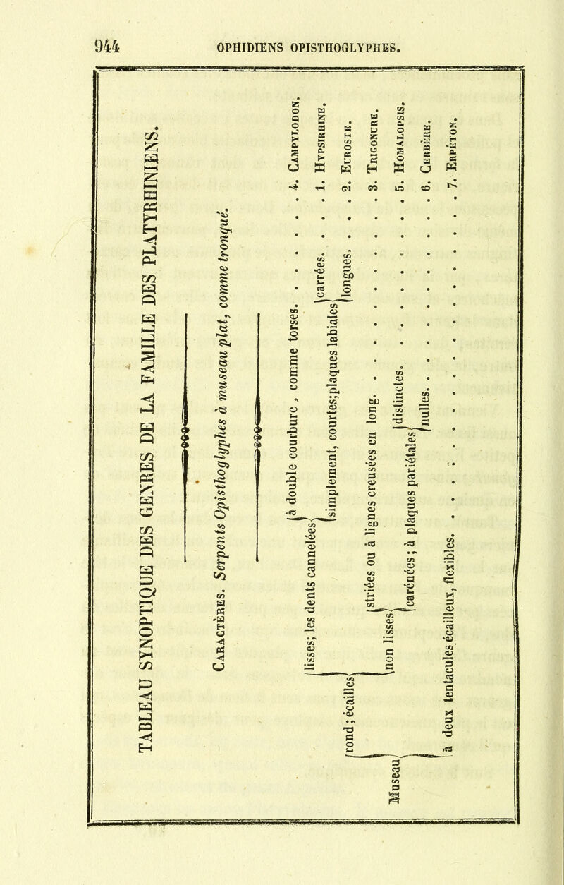 TABLEAU SYNOPTIQUE DES GENRES DE LA FAMILLE DES PLATIRDINIENS.