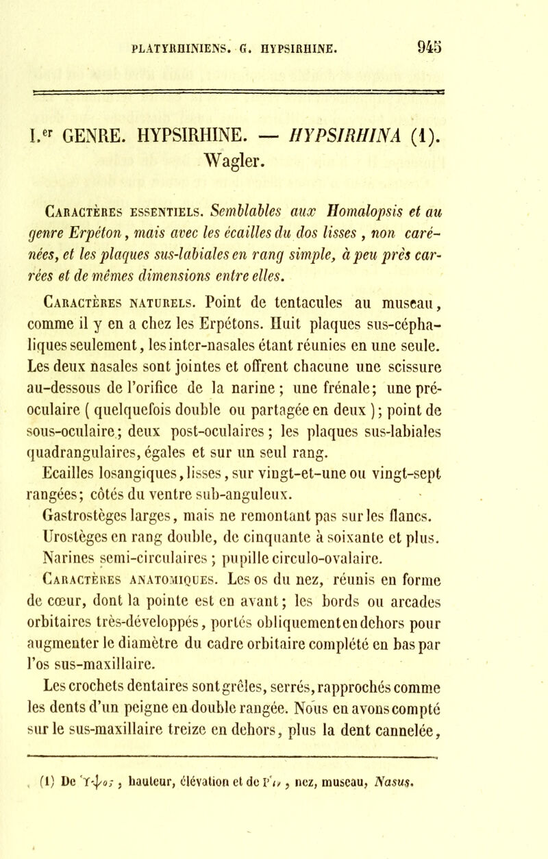 I.er GENRE. HYPSIRHINE. — IIYPSIRHINA (1). Wagler. Caractères essentiels. Semblables aux Homalopsis et au genre Erpéton, mais avec les écailles du dos lisses , non caré- nées, et les plaques sus-labiales en rang simple, à peu près car- rées et de mêmes dimensions entre elles. Caractères naturels. Point de tentacules au museau, comme il y en a chez les Erpétons. Huit plaques sus-cépha- liques seulement, les inter-nasales étant réunies en une seule. Les deux nasales sont jointes et offrent chacune une scissure au-dessous de l’orifice de la narine; une frênaie; une pré- oculaire ( quelquefois double ou partagée en deux ) ; point de sous-oculaire ; deux post-oculaires ; les plaques sus-labiales quadrangulaires, égales et sur un seul rang. Ecailles losangiques, lisses, sur vingt-et-une ou vingt-sept rangées; côtés du ventre sub-anguleux. Gastrostèges larges, mais ne remontant pas sur les flancs. Urostèges en rang double, de cinquante à soixante et plus. Narines semi-circulaires; pupillecirculo-ovalaire. Caractères anatomiques. Les os du nez, réunis en forme de cœur, dont la pointe est en avant; les bords ou arcades orbitaires très-développés, portés obliquementendehors pour augmenter le diamètre du cadre orbitaire complété en bas par l’os sus-maxillaire. Les crochets dentaires sont grêles, serrés, rapprochés comme les dents d’un peigne en double rangée. Nous en avons compté sur le sus-maxillaire treize en dehors, plus la dent cannelée. . (1) De 'Tÿo; , hauteur, élévation et de p, nez, museau, Nasus.